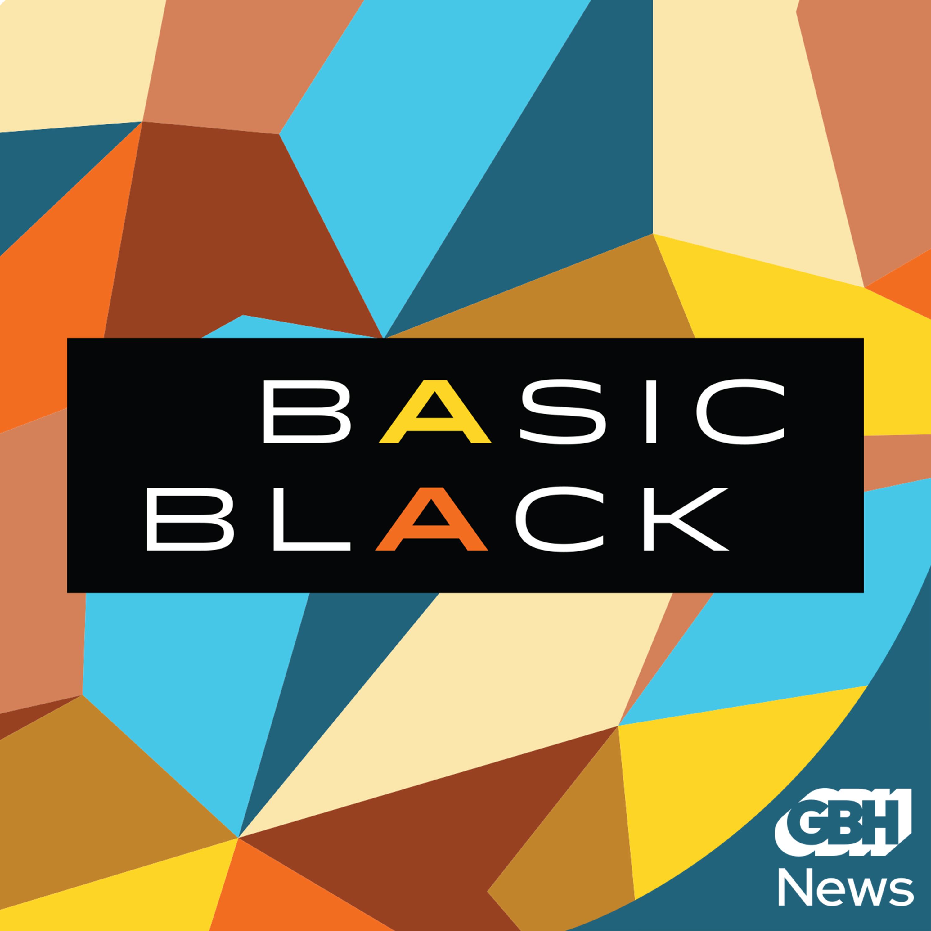 Thumbnail for "Basic Black at the NAACP National Convention".