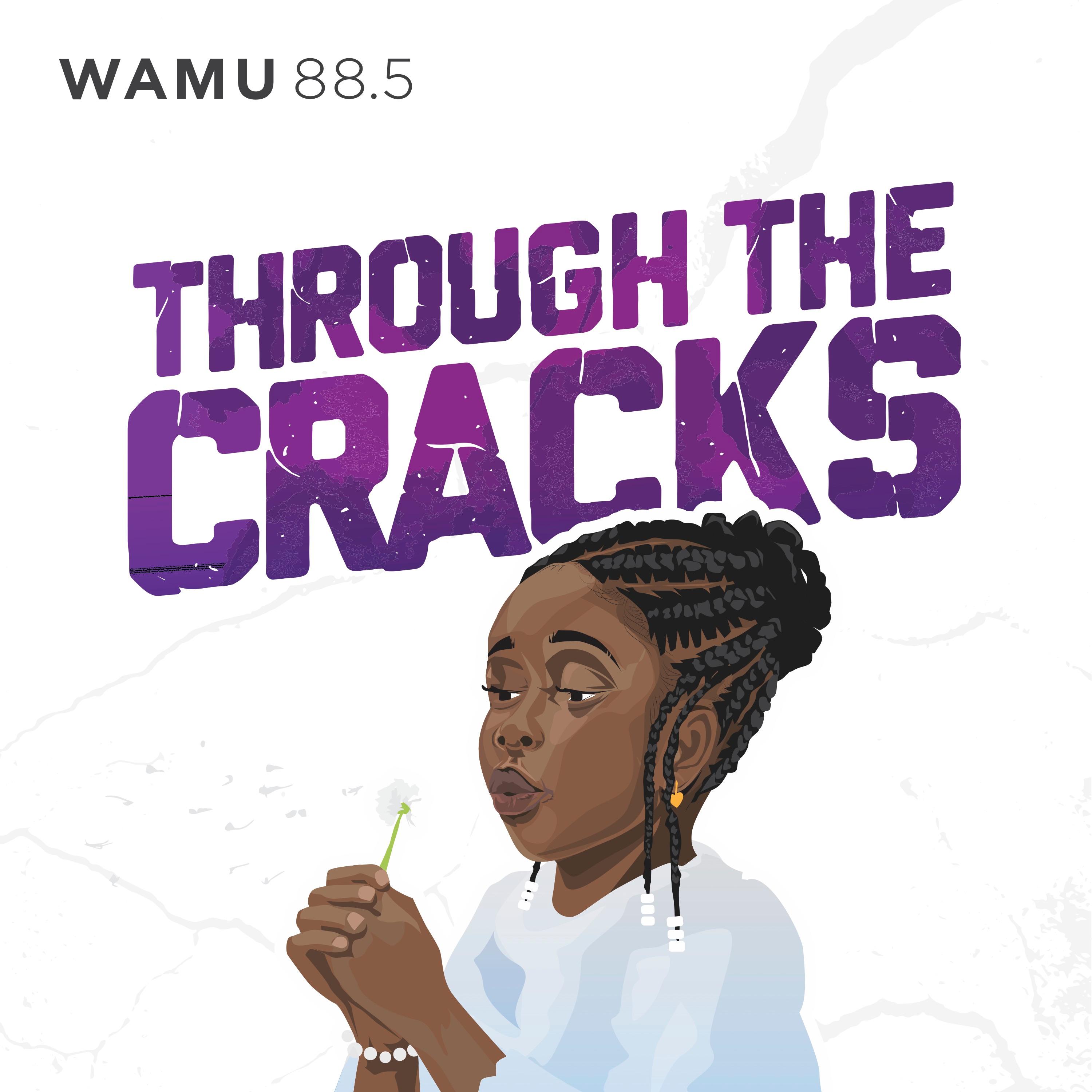 Thumbnail for "Through the Cracks".