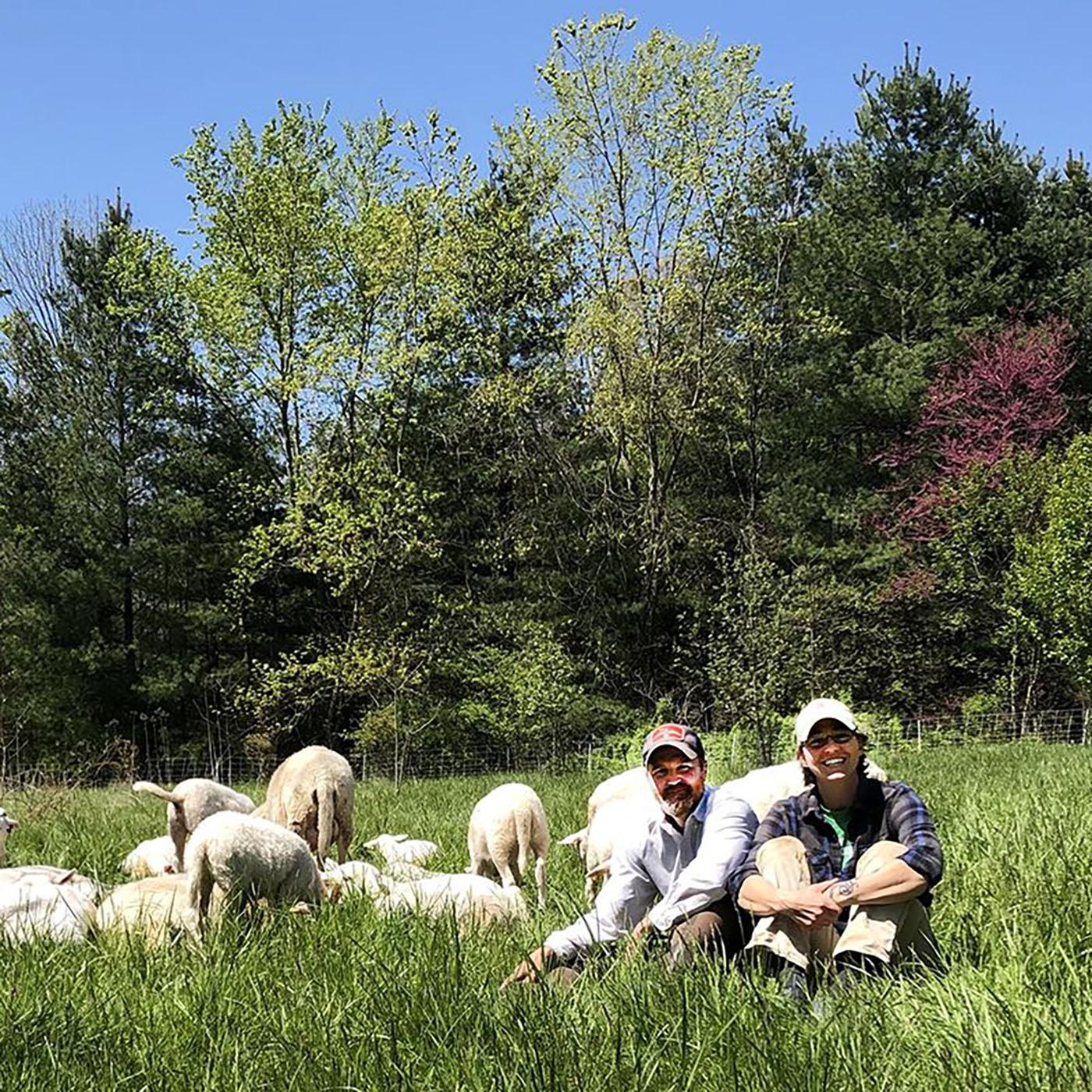 Thumbnail for "Rotational grazing and perennial pastures".