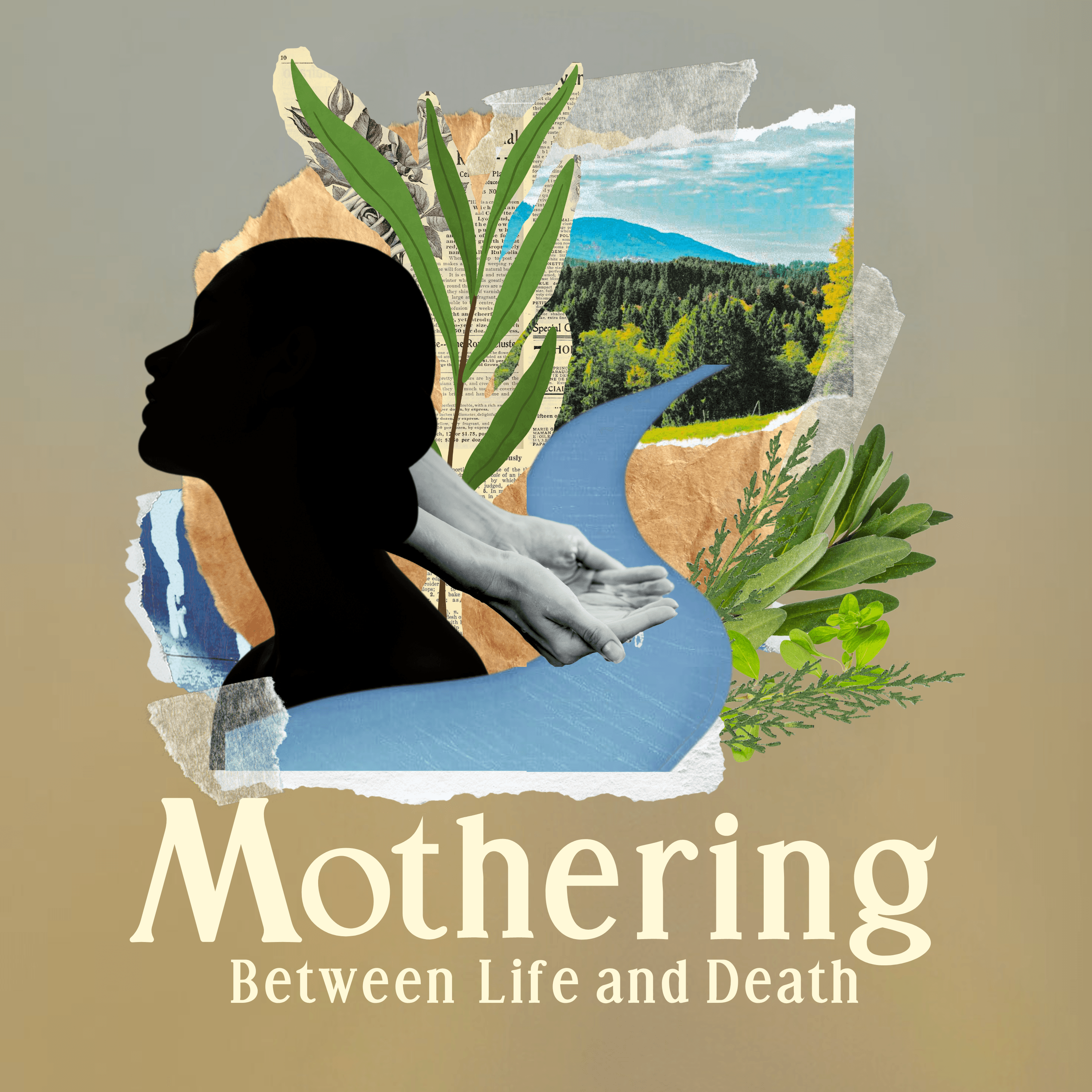 Thumbnail for "Mothering between Life and Death (Katherine)".