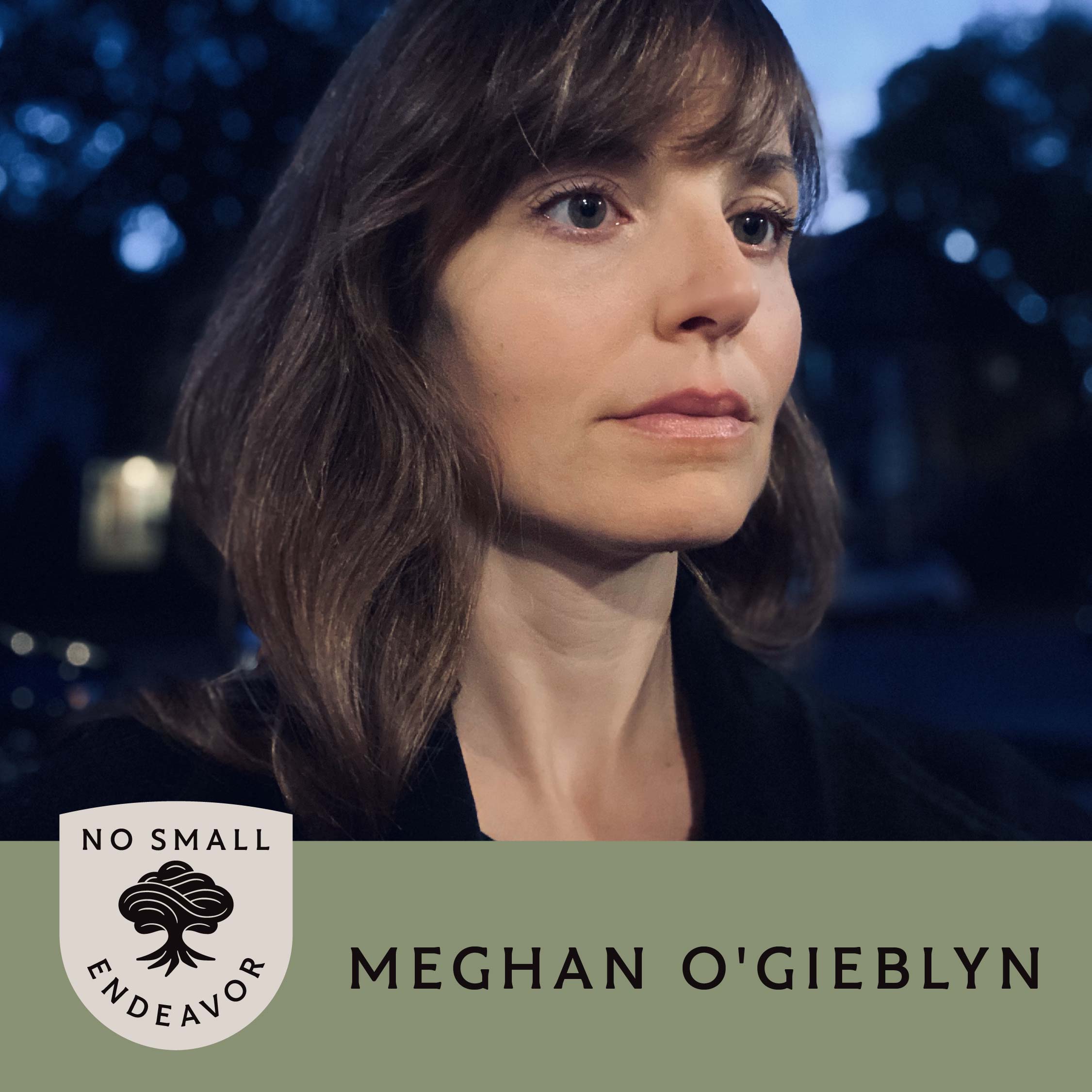 Thumbnail for "125: Meghan O’Gieblyn: Will AI Destroy Humanity?".
