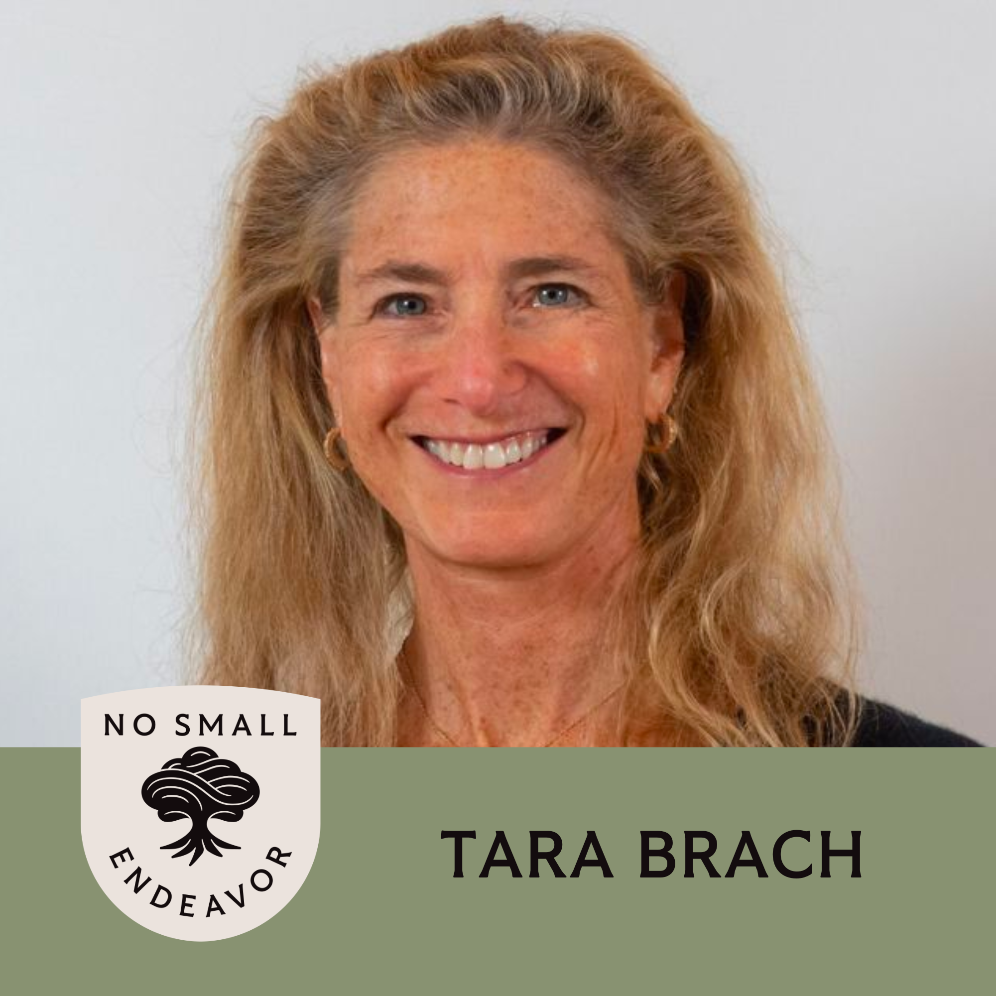 Thumbnail for "147: Tara Brach: Radical Acceptance".