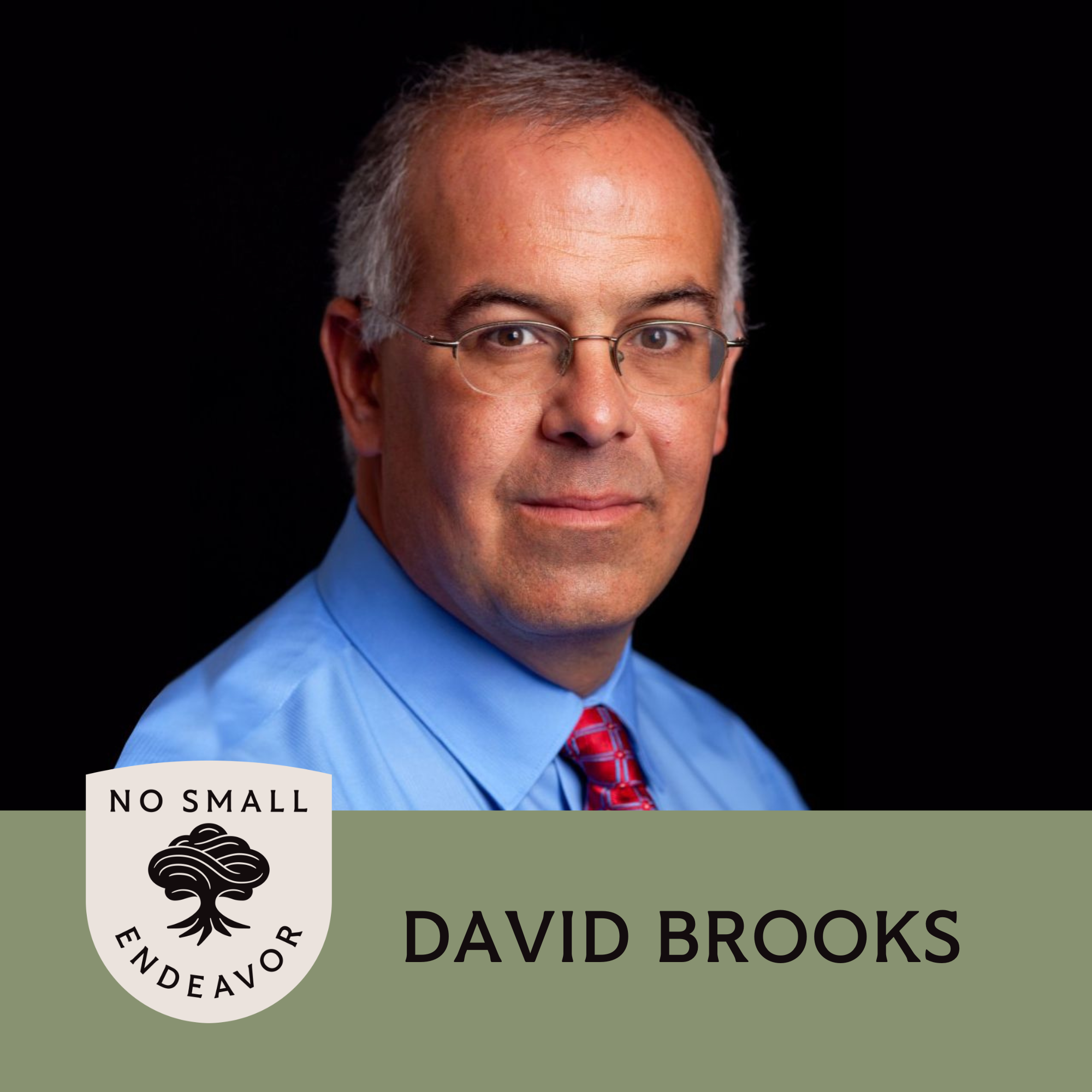 Thumbnail for "141: David Brooks: Can We Save Society By Knowing Each Other?".