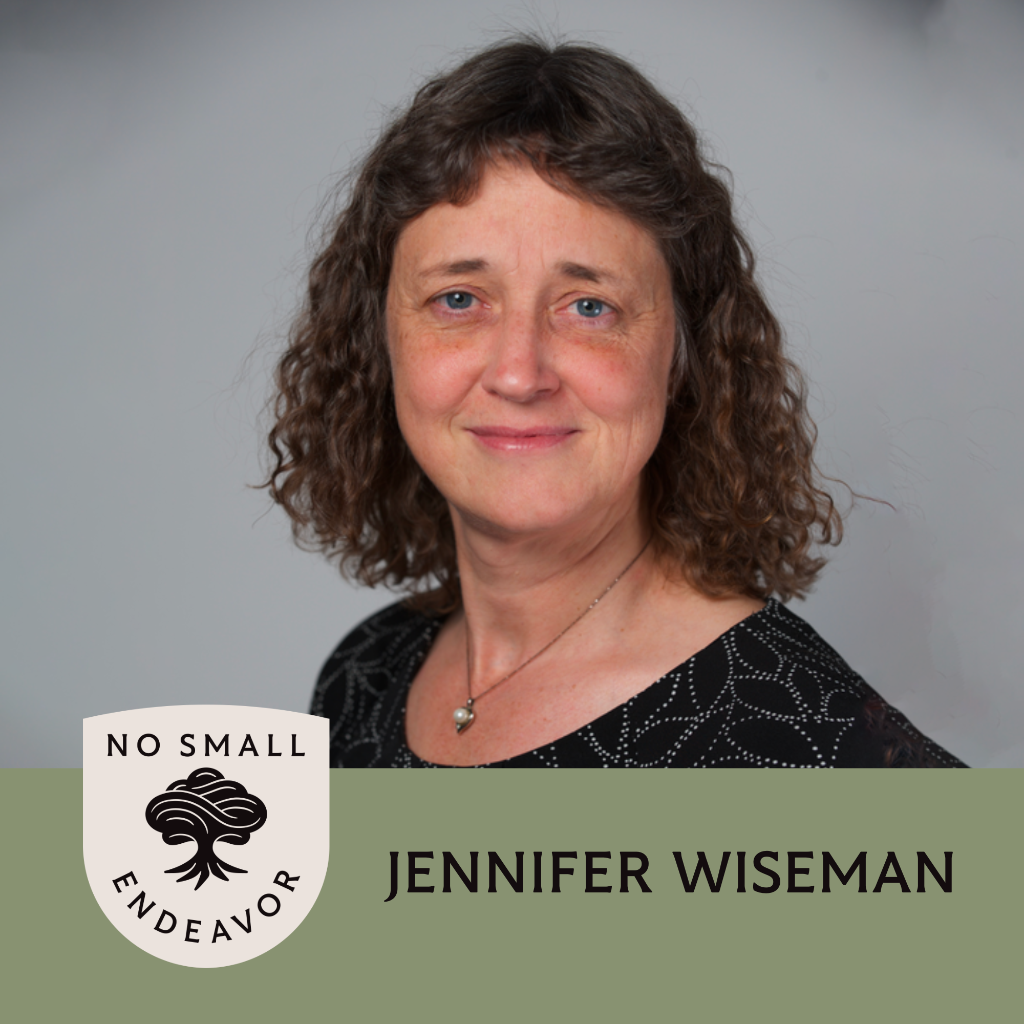 Thumbnail for "126: Jennifer Wiseman: How Science Produces Wonder".