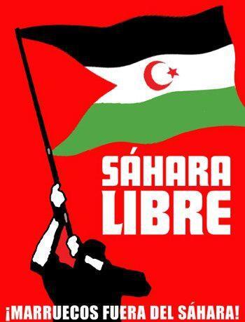 Thumbnail for "44: The Fight for Independence in Western Sahara".