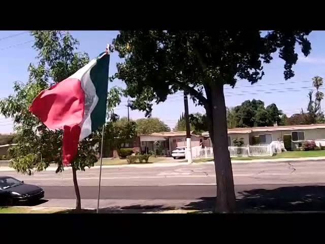 Thumbnail for "31: A Mexican Flag on the Lawn (2014 REBROADCAST)".