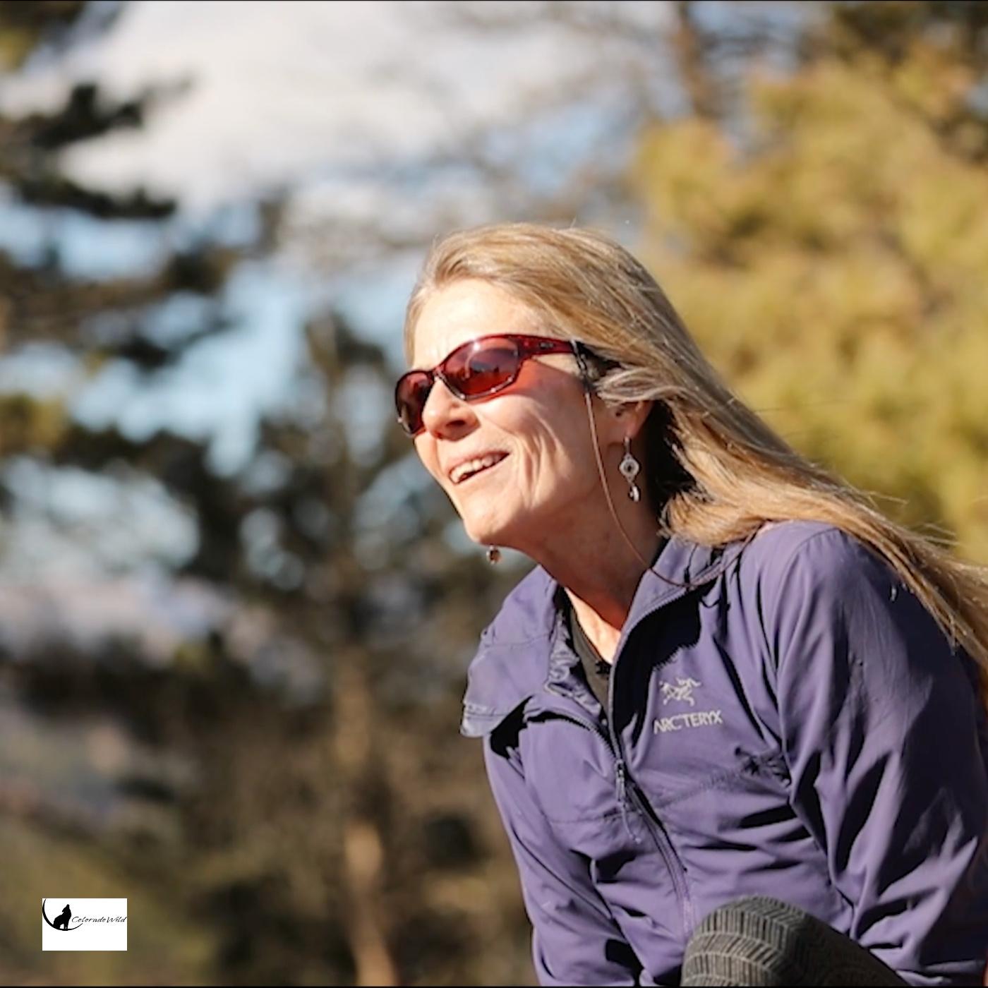 Thumbnail for "Colorado Wild: Wolves". Thumbnail for "Colorado Wild: Wolves".