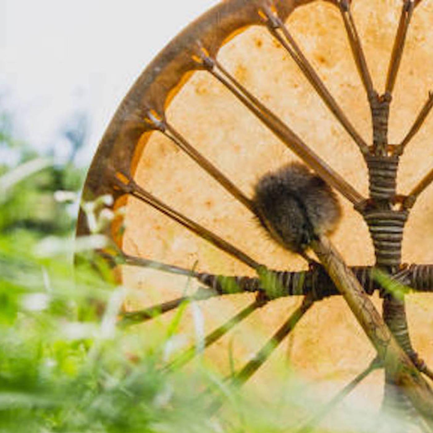 Thumbnail for "Shamanism Today". Thumbnail for "Shamanism Today".