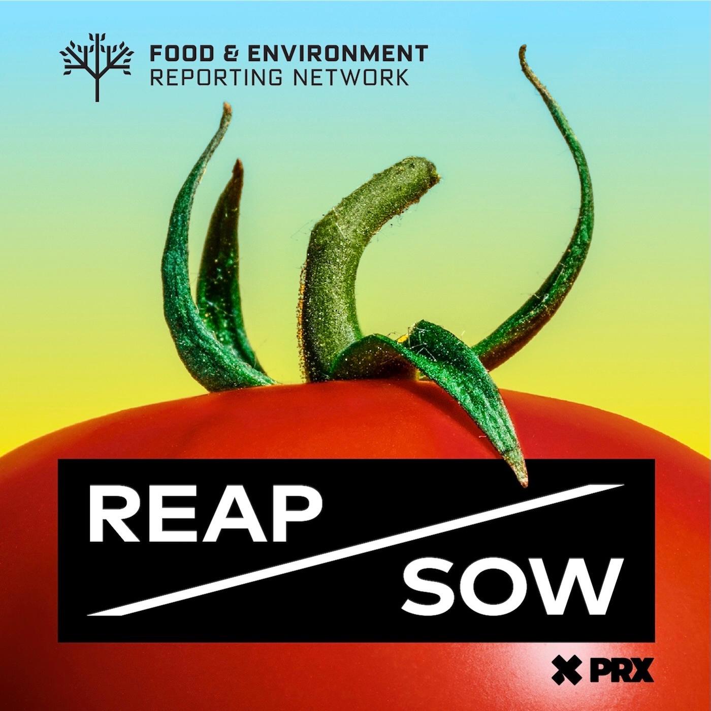 Thumbnail for "A conversation about fighting food waste with Katelan Cunningham". Thumbnail for "A conversation about fighting food waste with Katelan Cunningham".