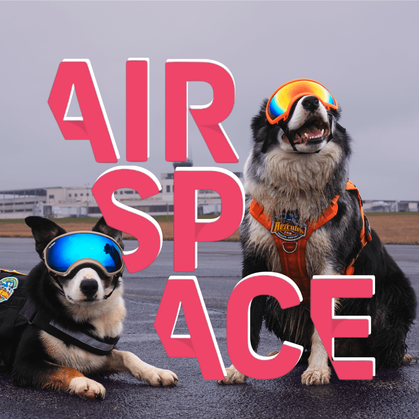 Thumbnail for "Gone to the Dogs". Thumbnail for "Gone to the Dogs".