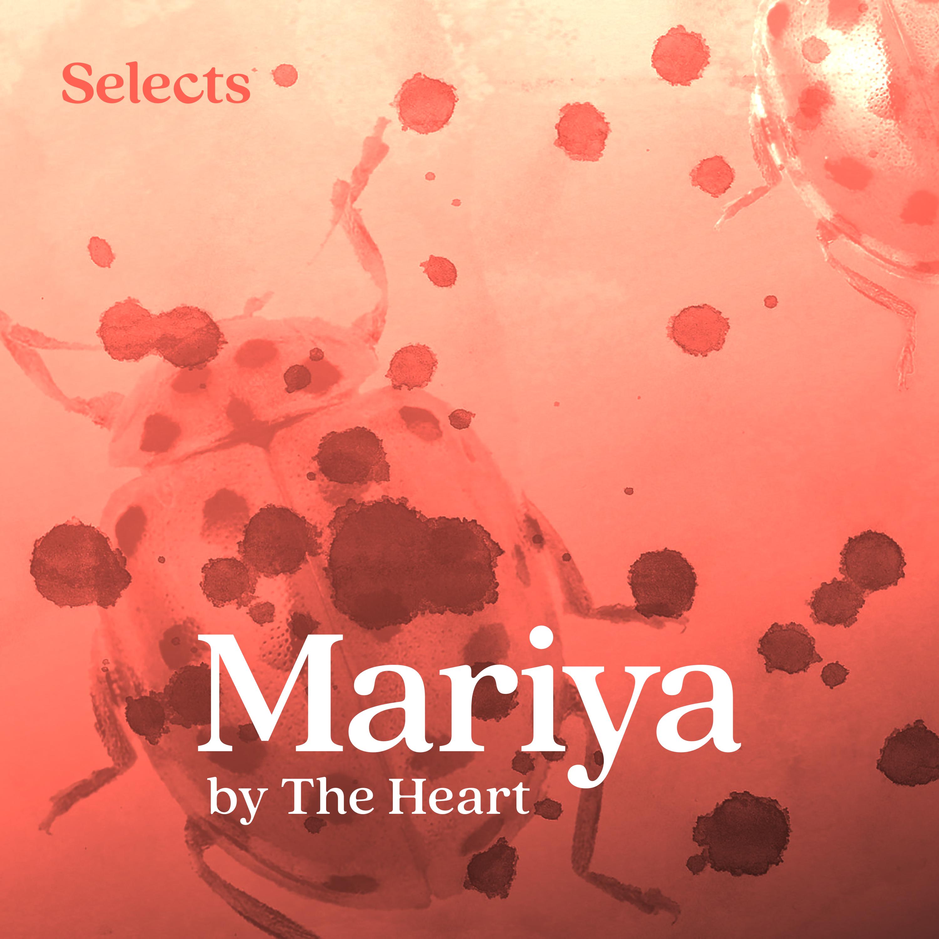 Thumbnail for "Mariya by The Heart". Thumbnail for "Mariya by The Heart".