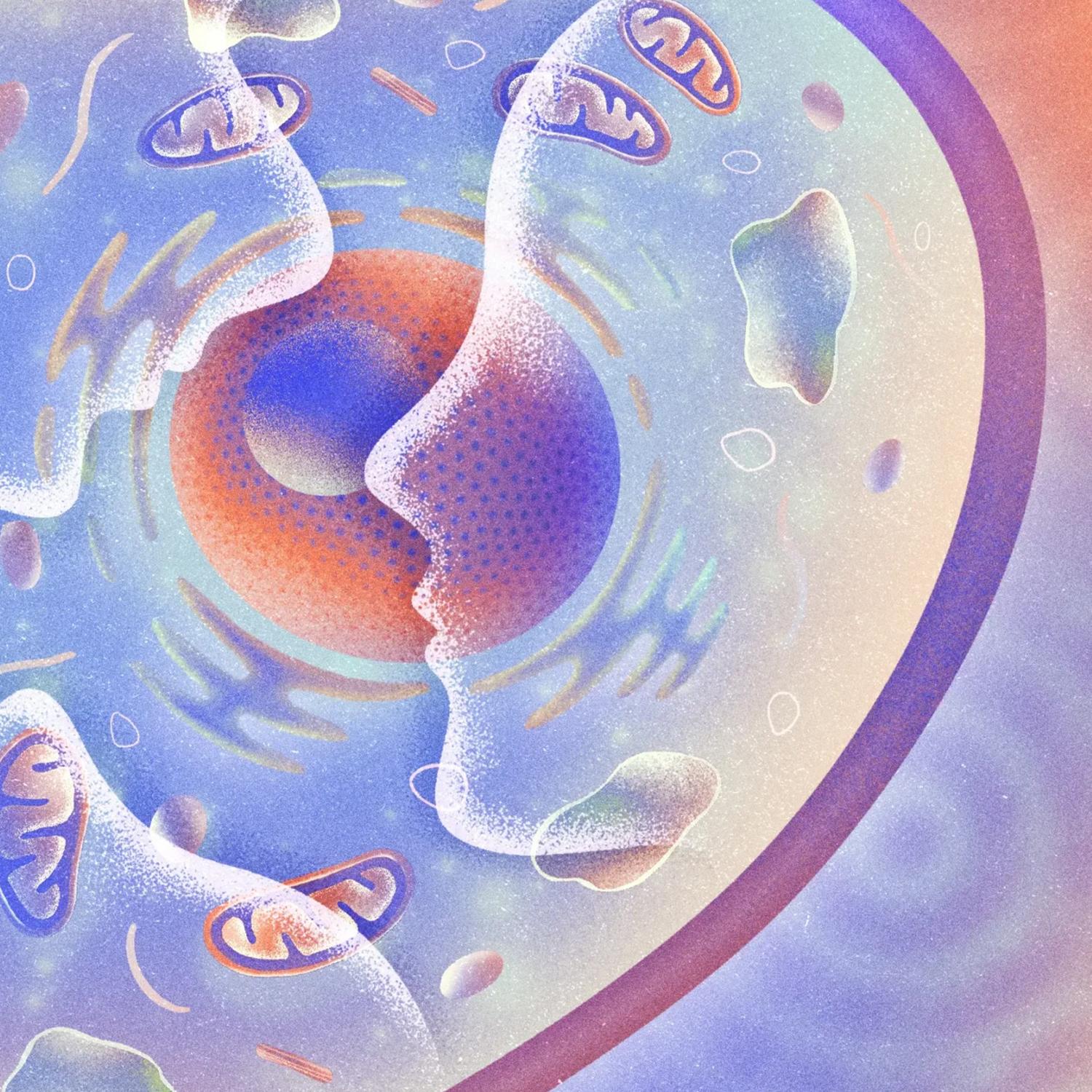 Thumbnail for "What Can a Cell Remember?". Thumbnail for "What Can a Cell Remember?".