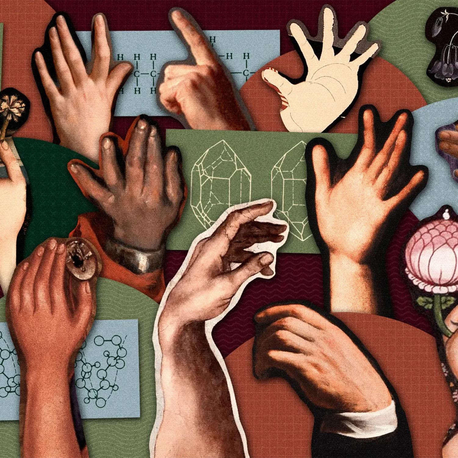 Thumbnail for "Why Am I Left-Handed?". Thumbnail for "Why Am I Left-Handed?".