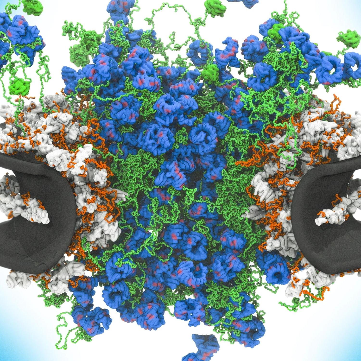 Thumbnail for "One of Nature’s Most Complex Molecular Machines". Thumbnail for "One of Nature’s Most Complex Molecular Machines".