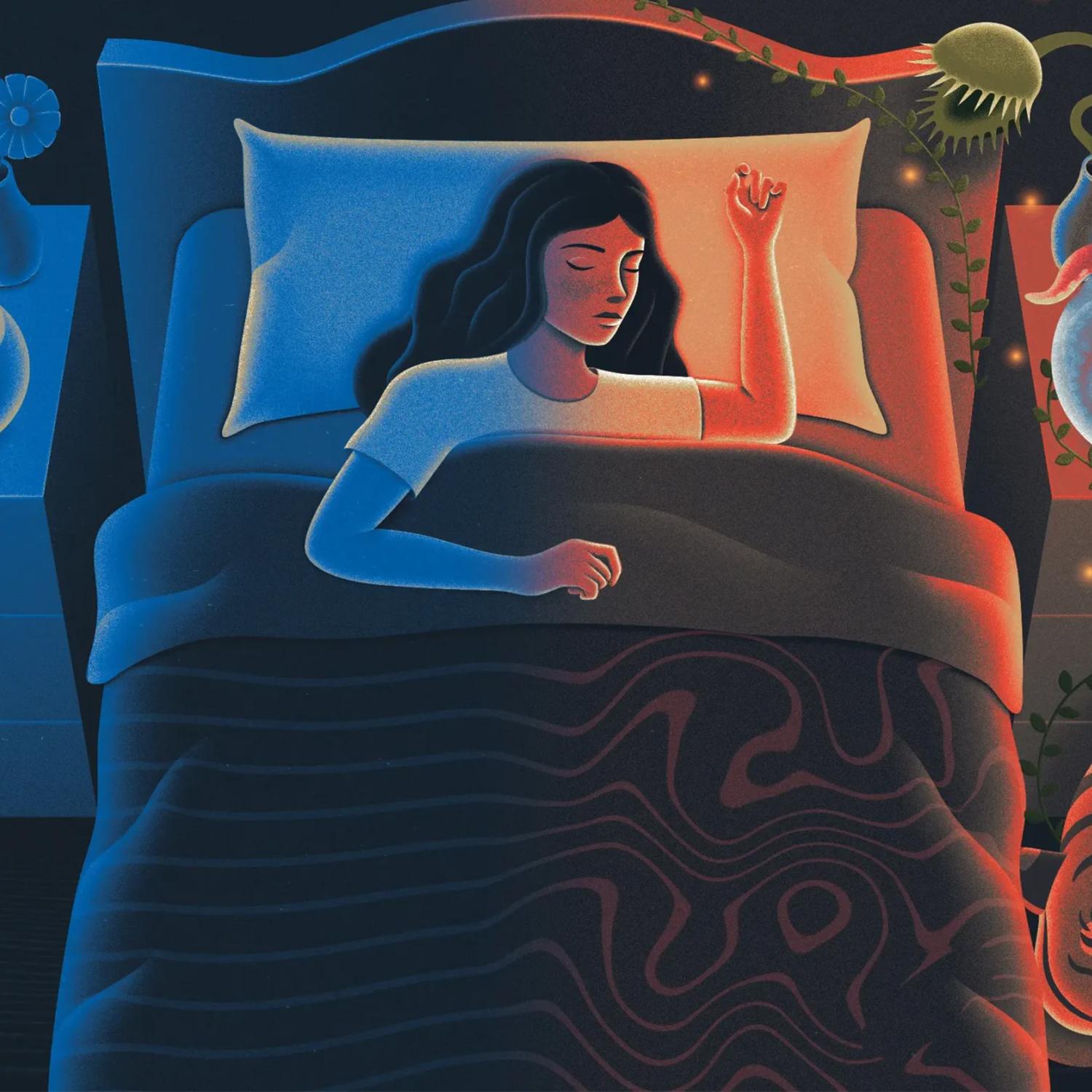 Thumbnail for "Sleep Is Not All or Nothing". Thumbnail for "Sleep Is Not All or Nothing".