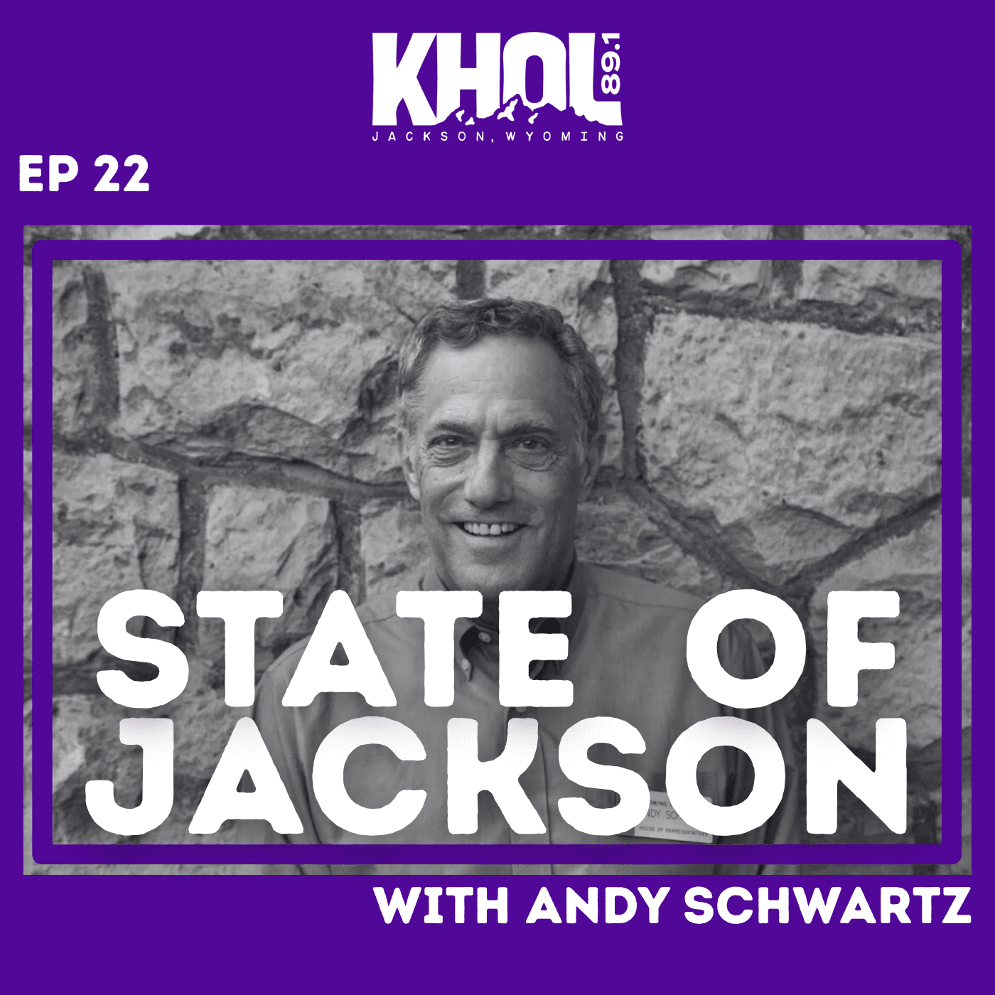 Thumbnail for "Andy Schwartz says ‘democracy will survive’". Thumbnail for "Andy Schwartz says ‘democracy will survive’".