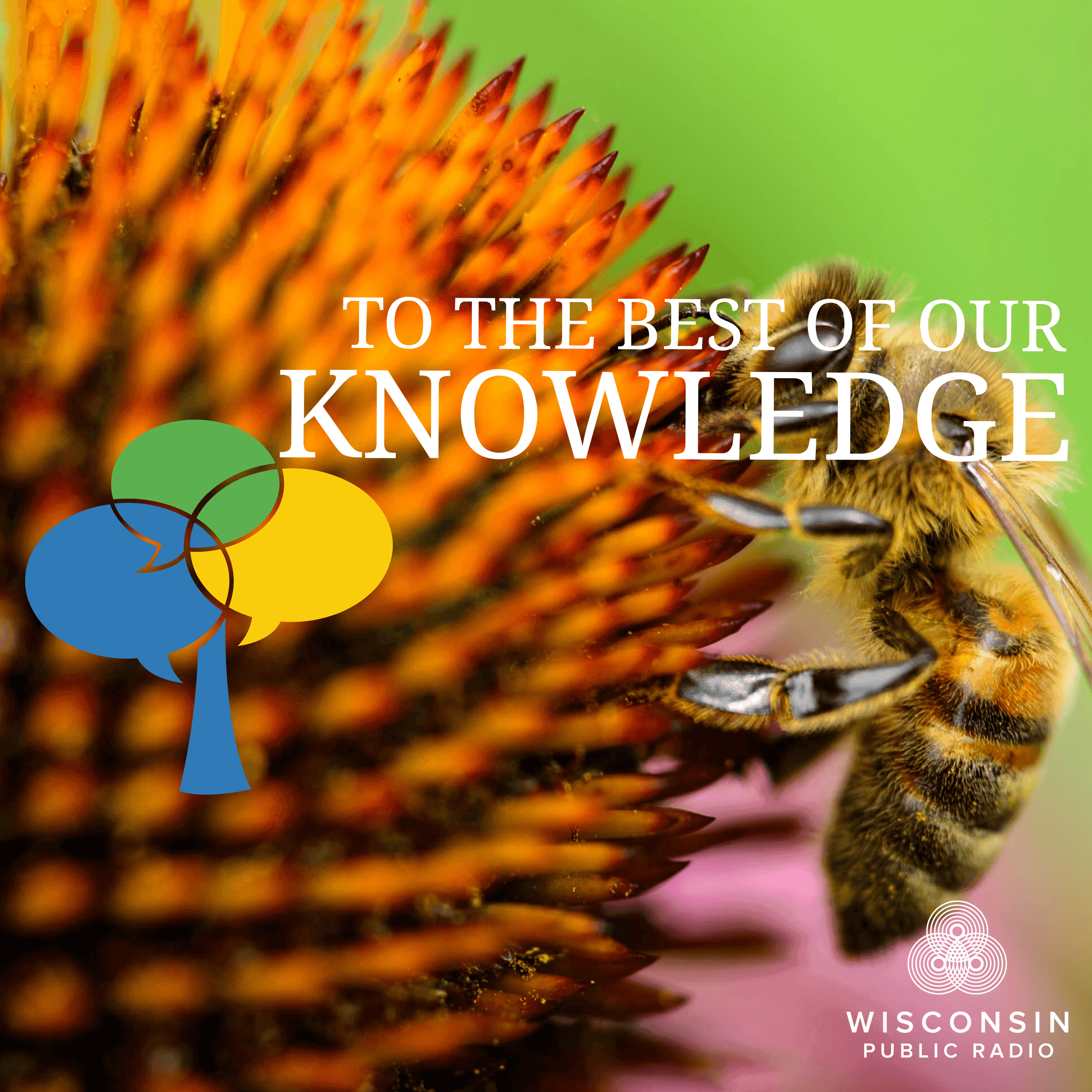 Thumbnail for "Loving Bees". Thumbnail for "Loving Bees".