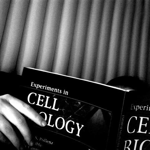 Thumbnail for "Lab Lit". Thumbnail for "Lab Lit".