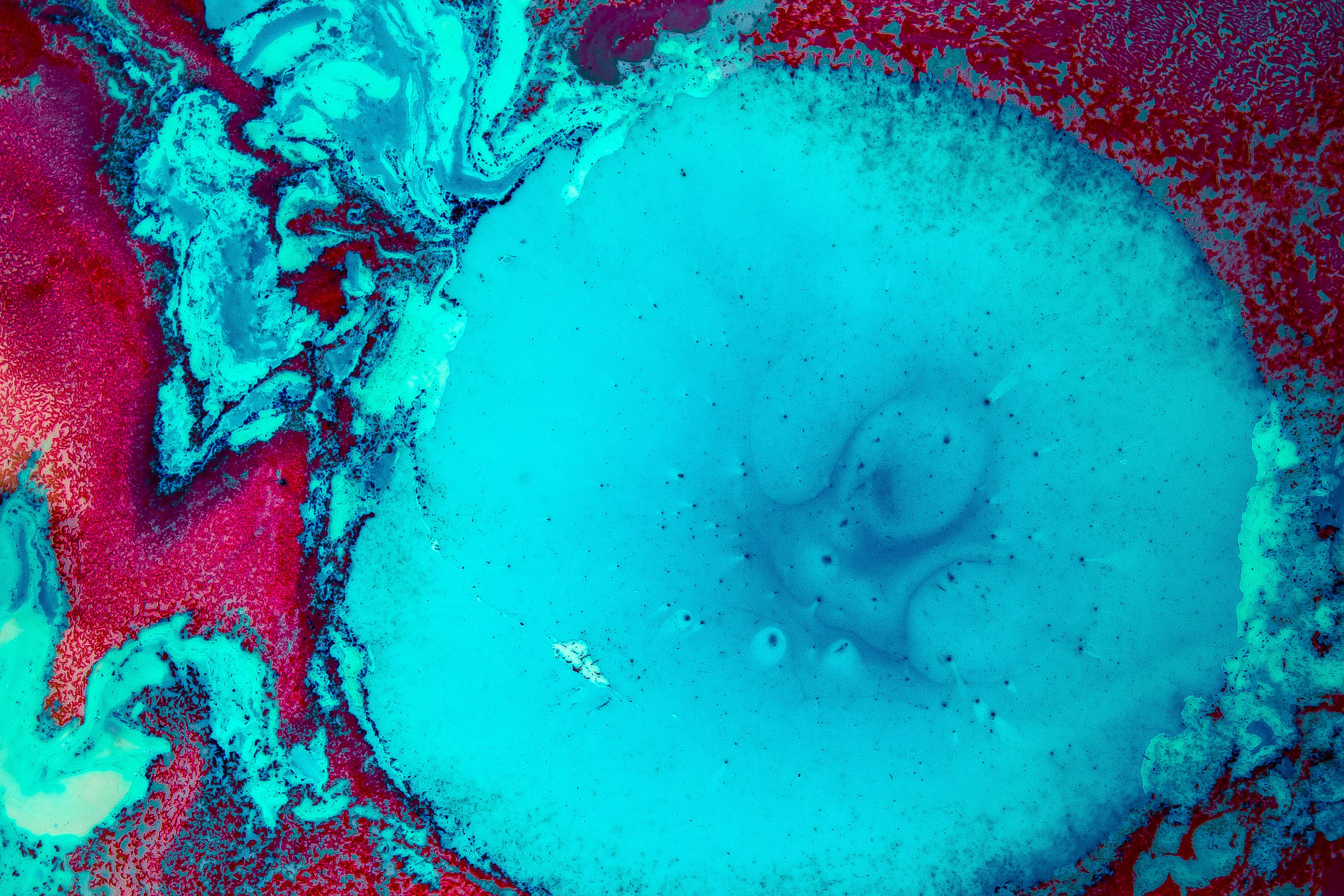 Thumbnail for "Could Psychedelic Drugs Save Your Life?". Thumbnail for "Could Psychedelic Drugs Save Your Life?".