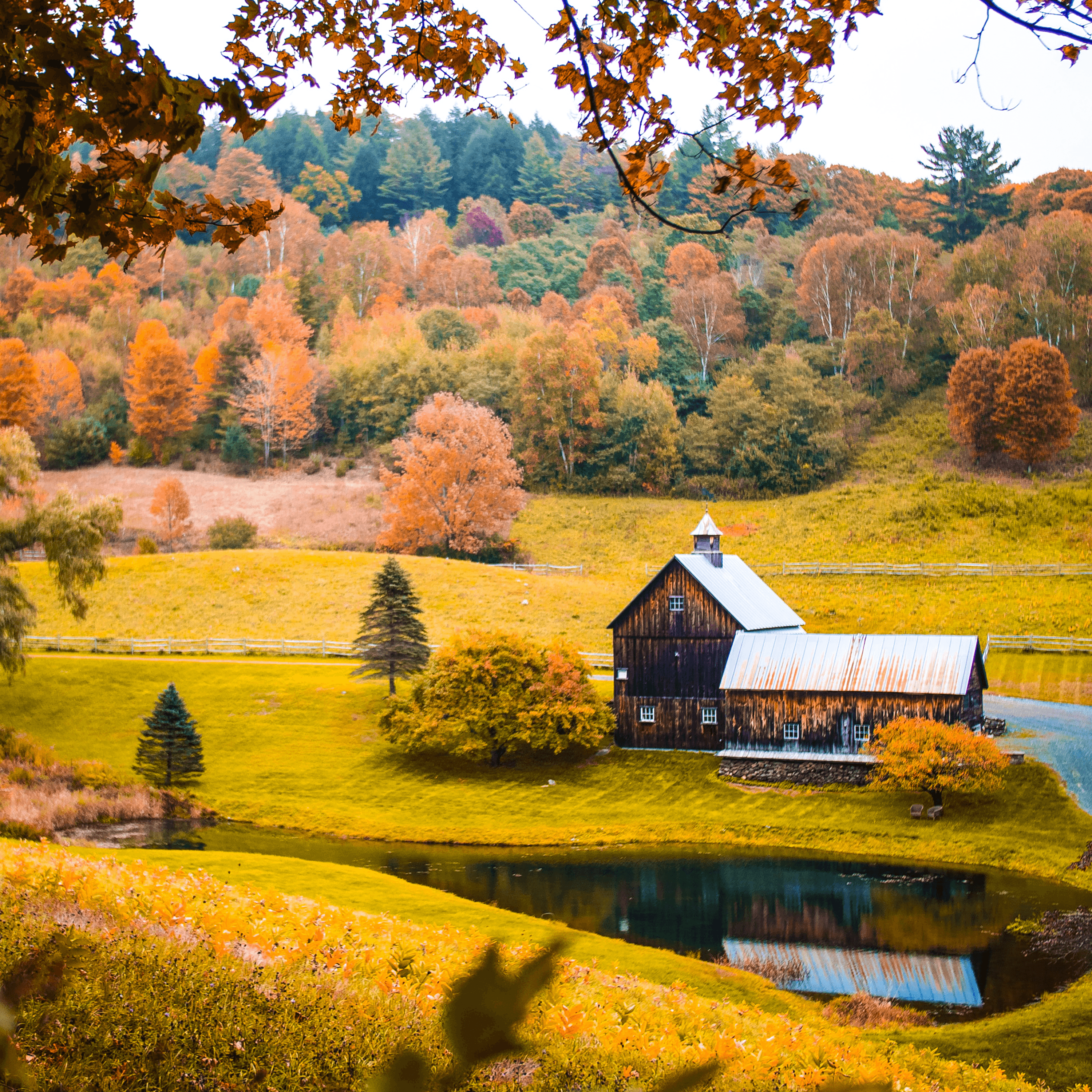 Thumbnail for "Whose Land Is It? ". Thumbnail for "Whose Land Is It? ".