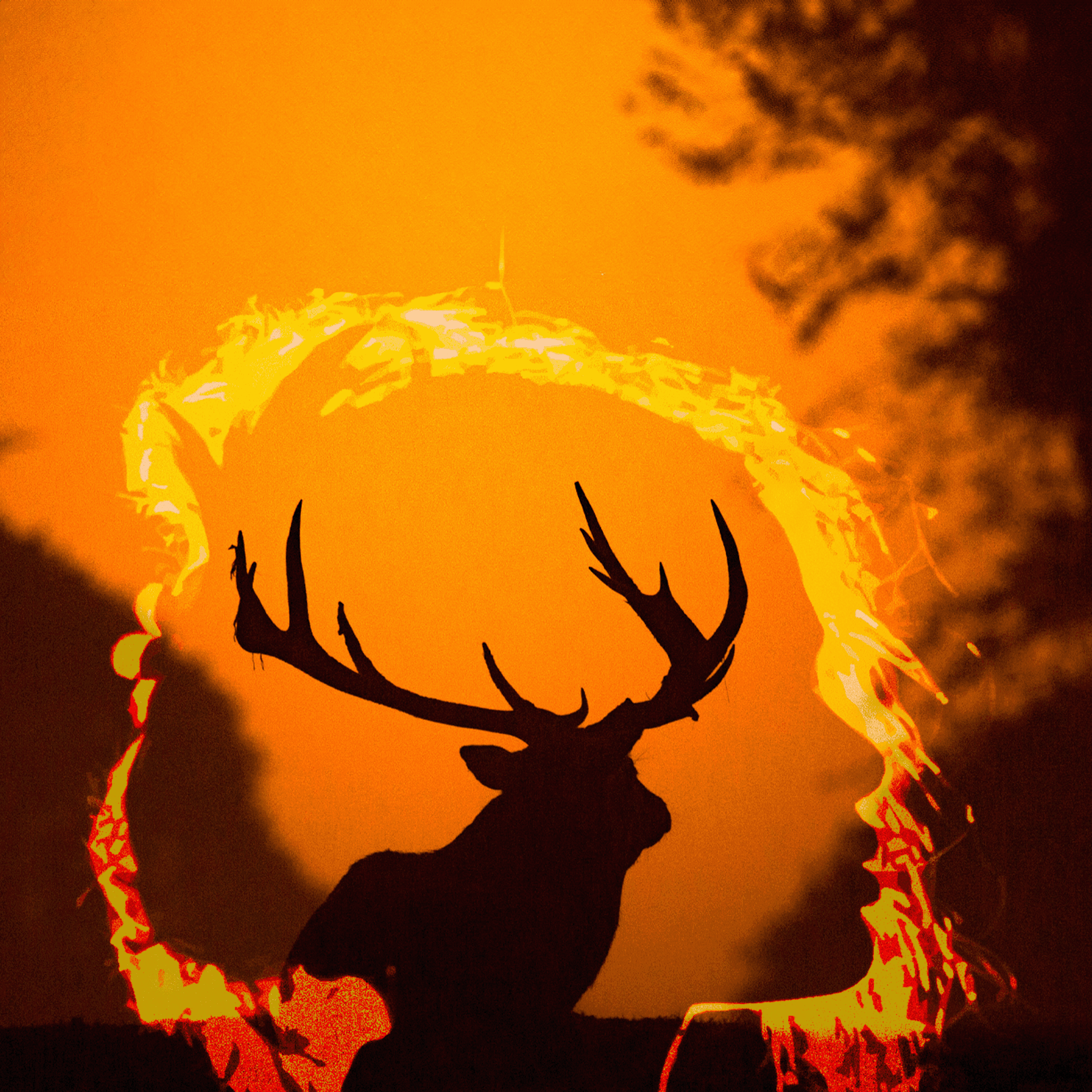 Thumbnail for "Shapeshifting". Thumbnail for "Shapeshifting".