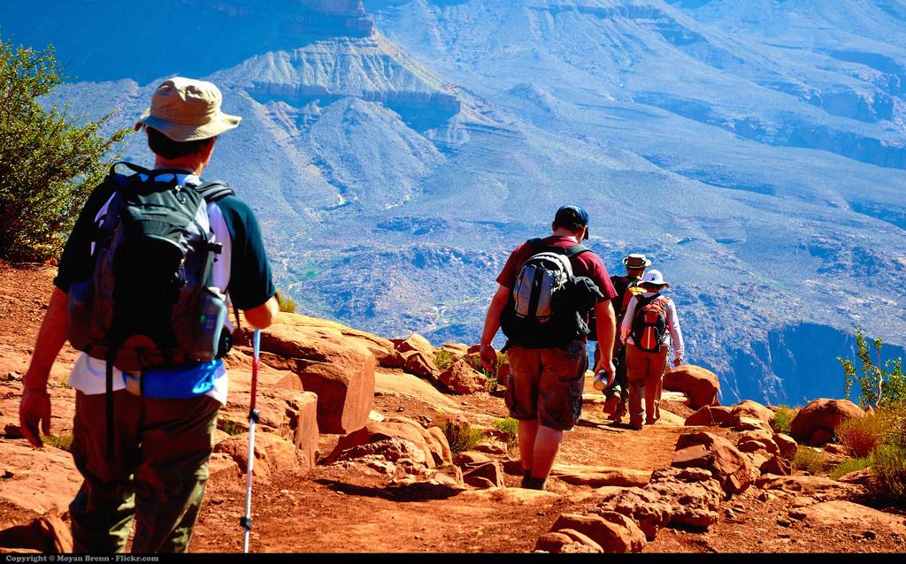 Thumbnail for "Walking". Thumbnail for "Walking".