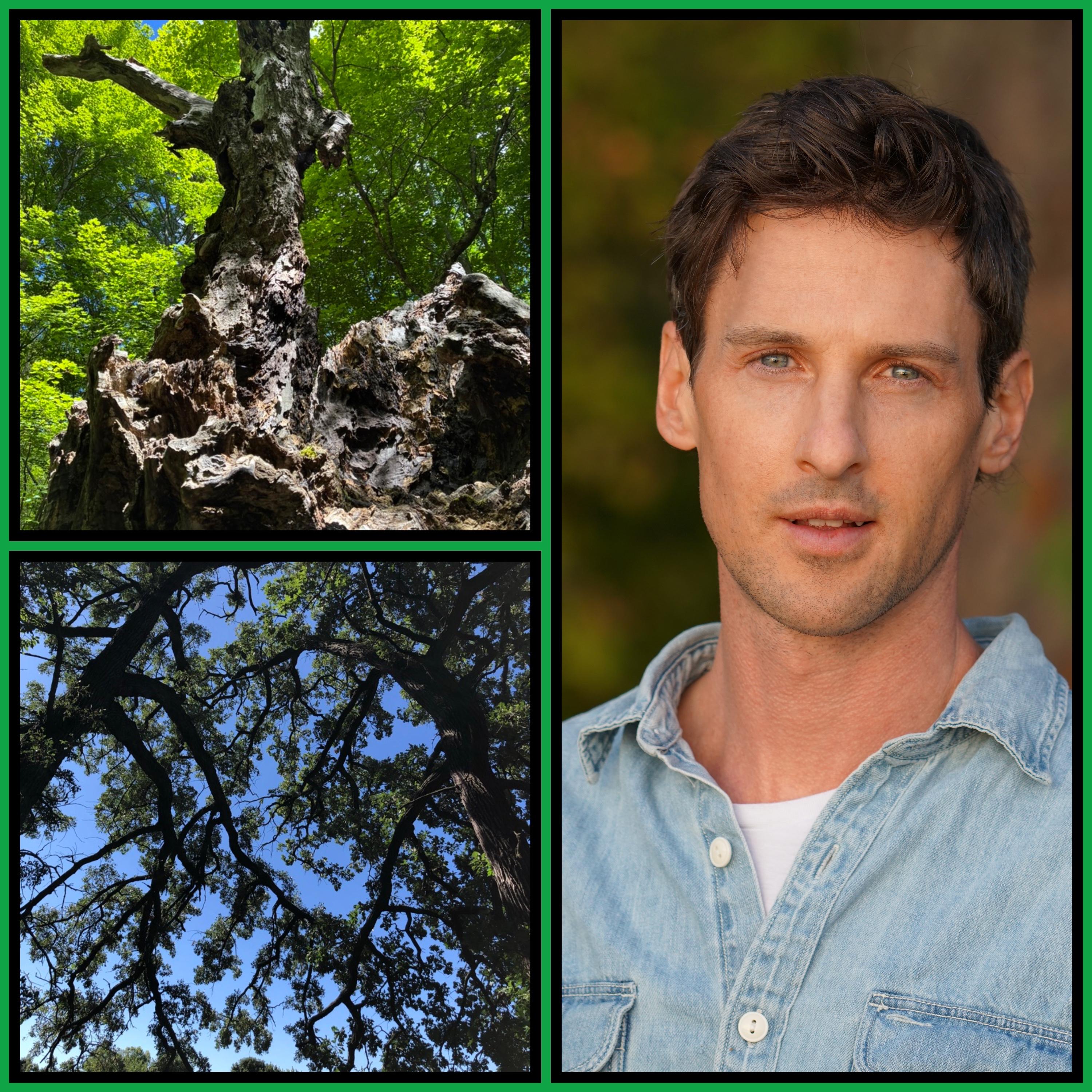Thumbnail for "Tree Thinking with Robert Moor". Thumbnail for "Tree Thinking with Robert Moor".