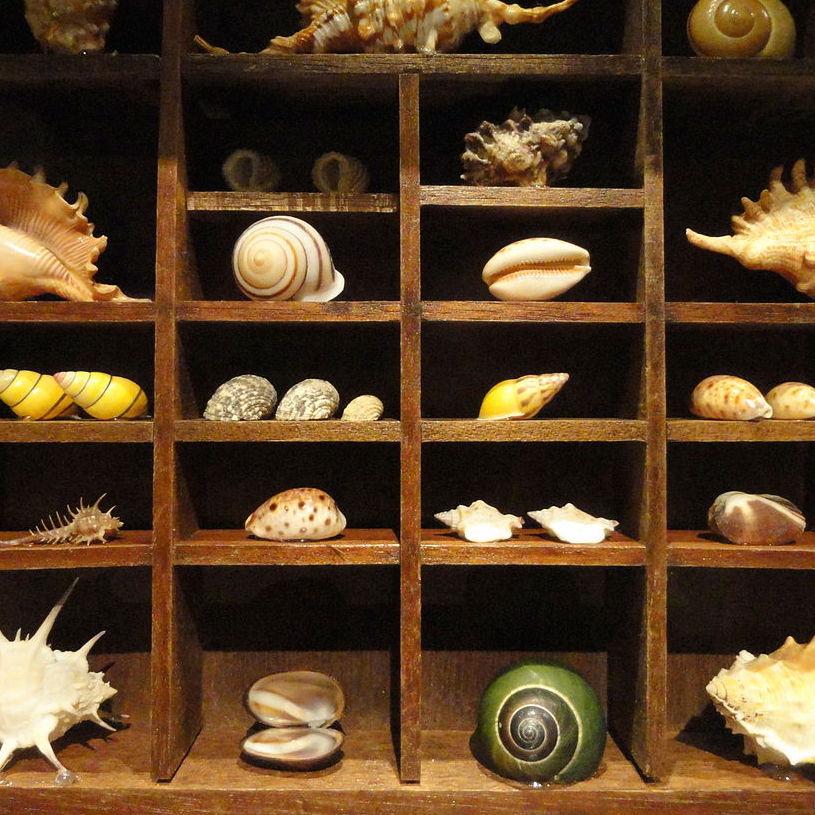 Thumbnail for "The Art of the Collection". Thumbnail for "The Art of the Collection".