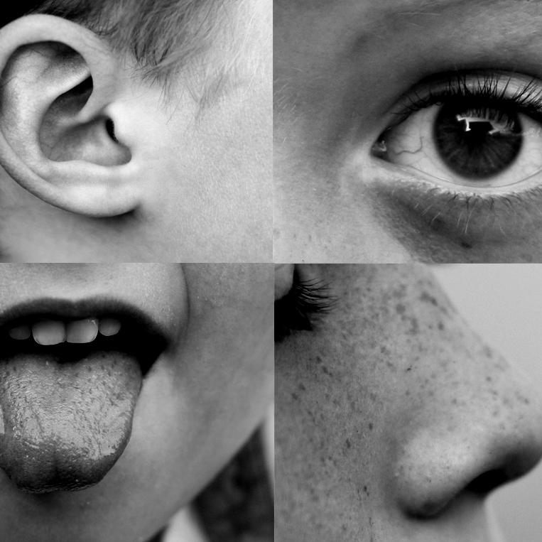 Thumbnail for "Super Senses". Thumbnail for "Super Senses".