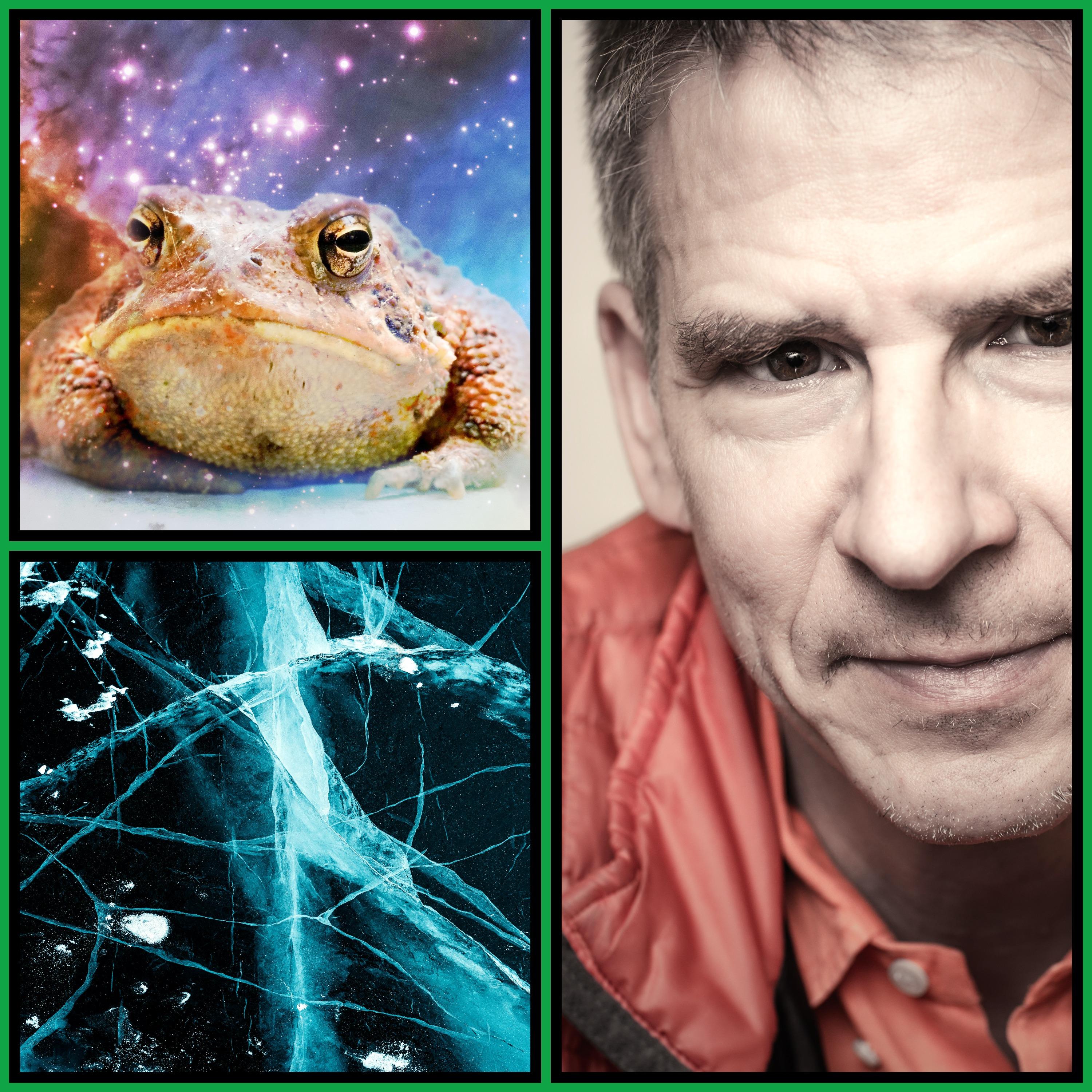Thumbnail for "Christof Koch on the Cosmic Toad". Thumbnail for "Christof Koch on the Cosmic Toad".