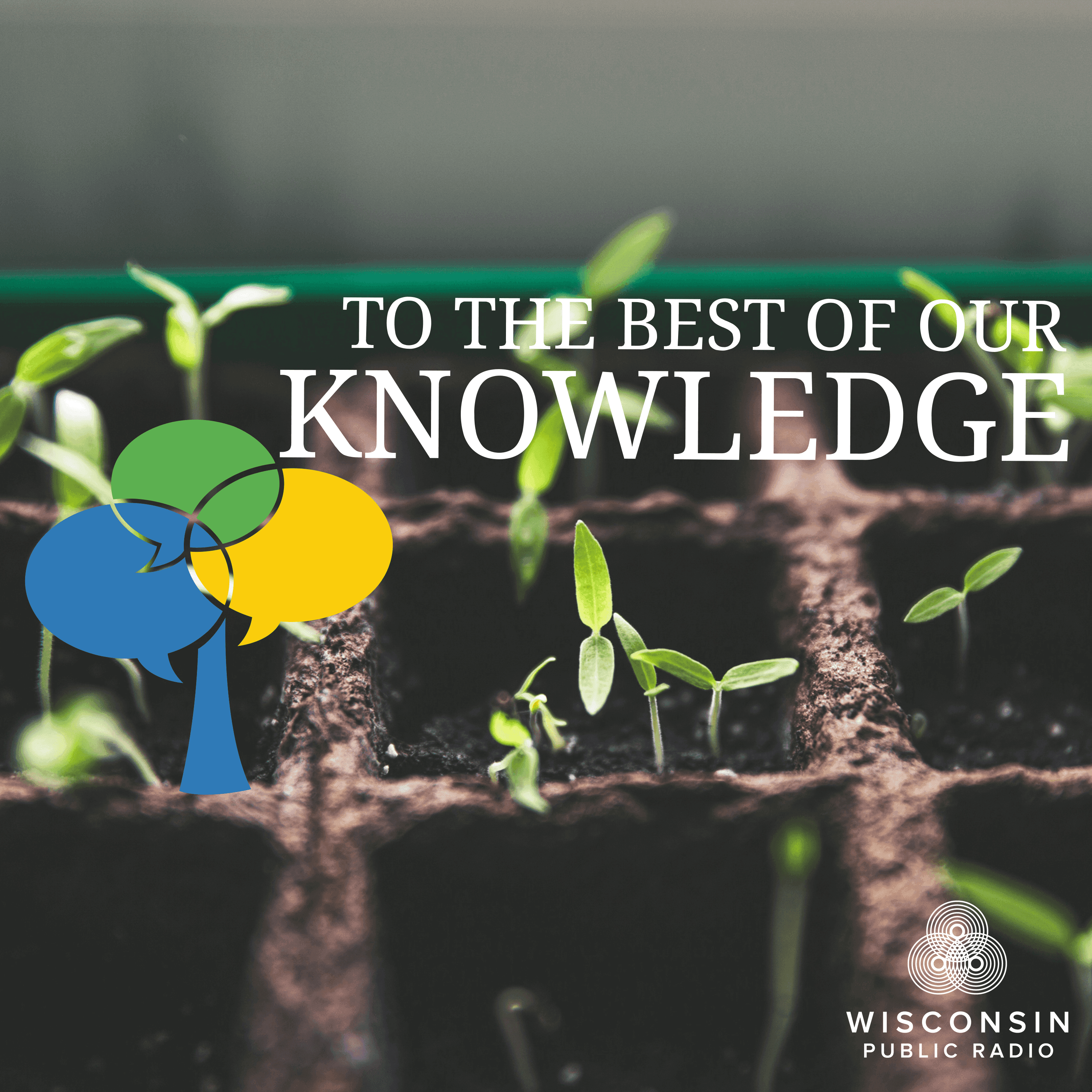 Thumbnail for "The Ways We Are Born — Again and Again". Thumbnail for "The Ways We Are Born — Again and Again".