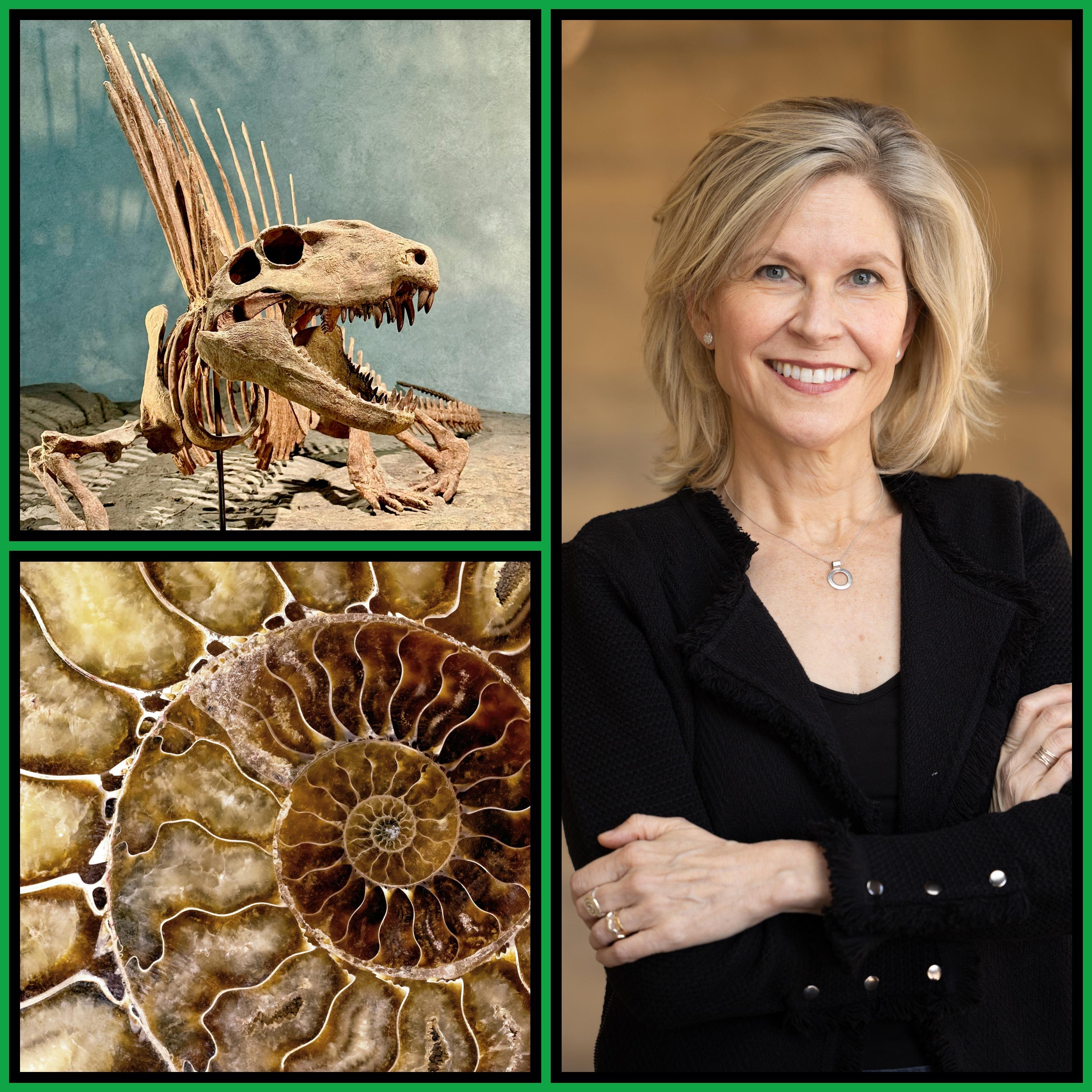 Thumbnail for "Caroline Winterer: Dinosaurs, Deep Time and the American Soul". Thumbnail for "Caroline Winterer: Dinosaurs, Deep Time and the American Soul".
