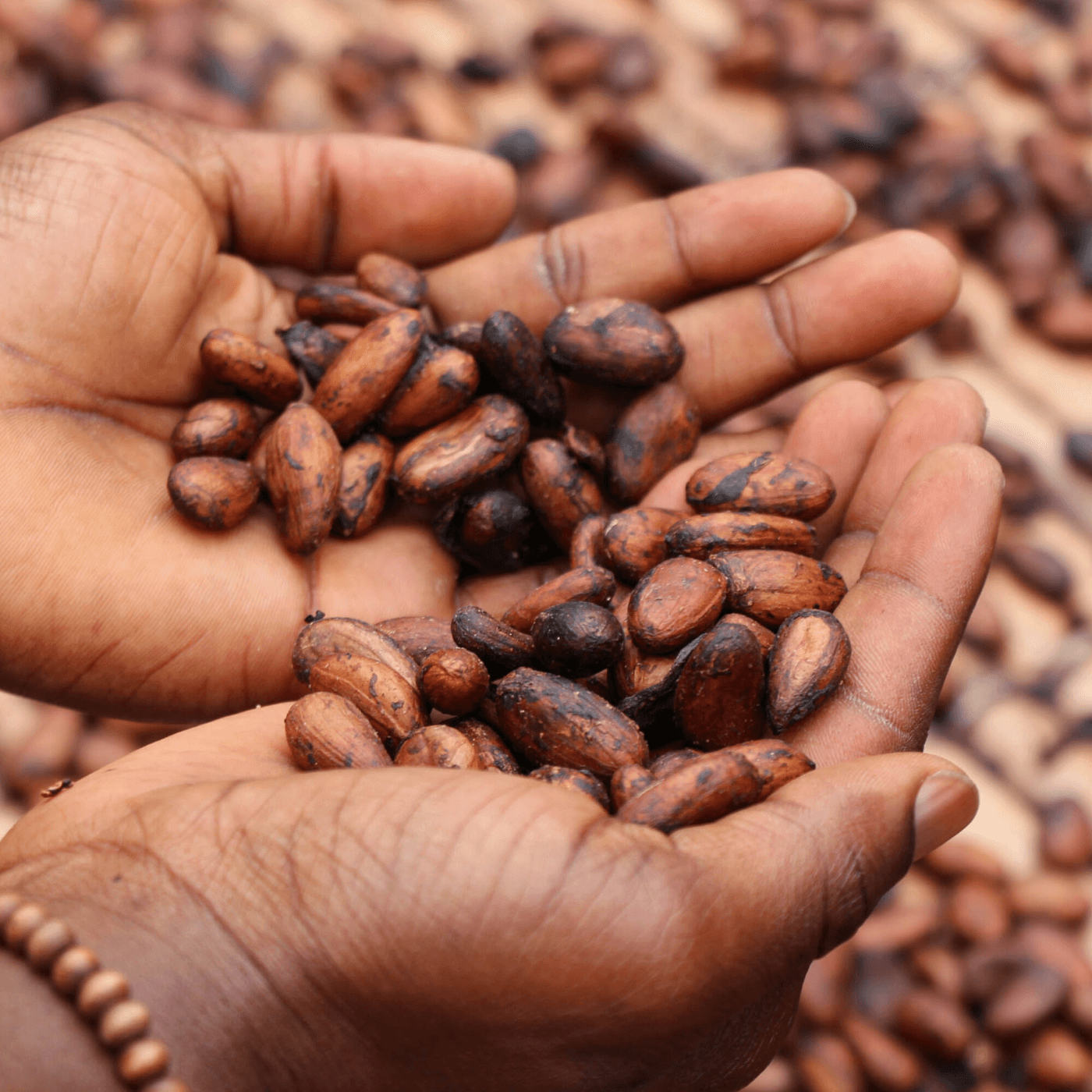 Thumbnail for "In Search of 'Real' Food". Thumbnail for "In Search of 'Real' Food".