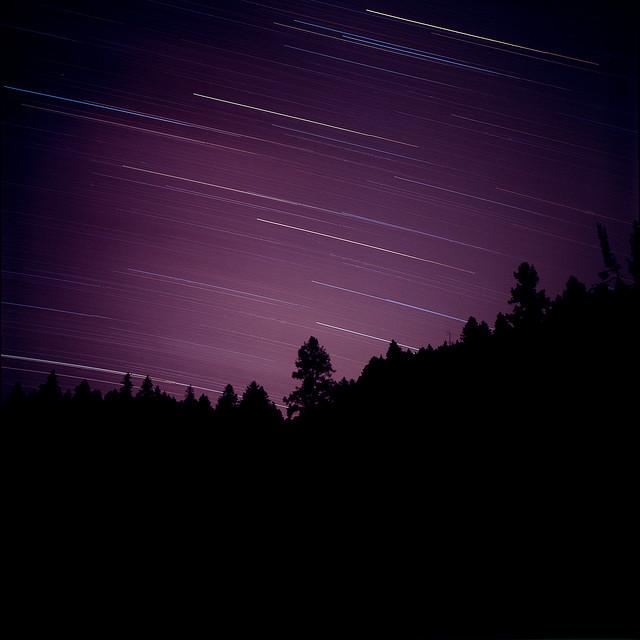 Thumbnail for "Going Wild". Thumbnail for "Going Wild".