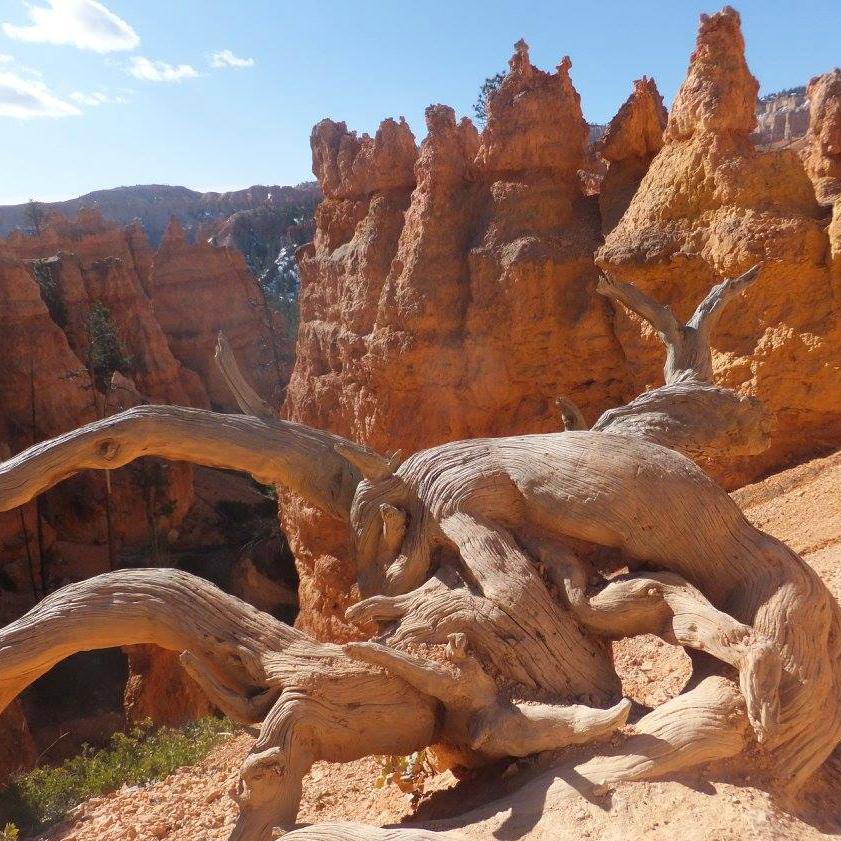 Thumbnail for "Parks and Recreation". Thumbnail for "Parks and Recreation".