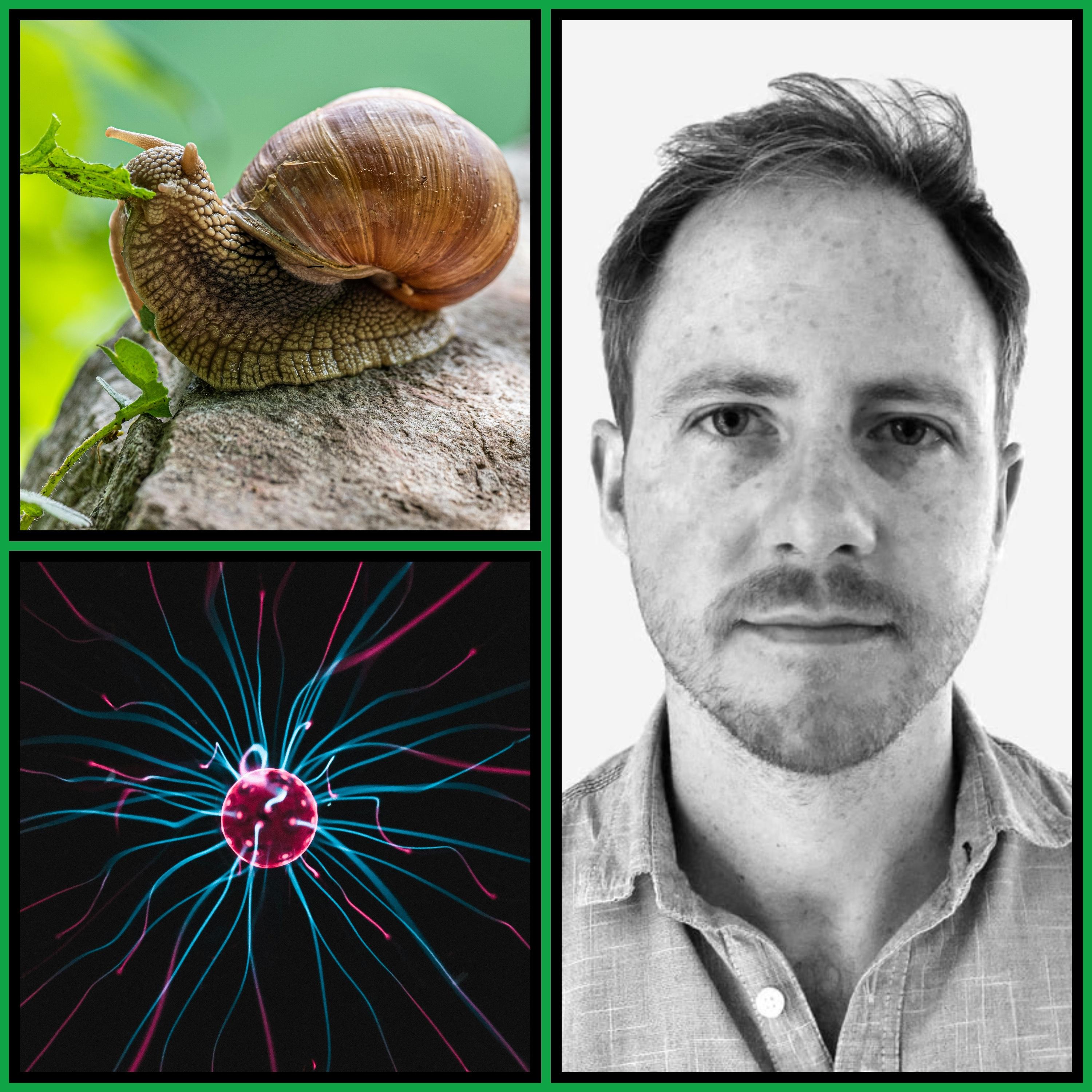 Thumbnail for "The Conscious Universe: Panpsychism with Philip Goff". Thumbnail for "The Conscious Universe: Panpsychism with Philip Goff".