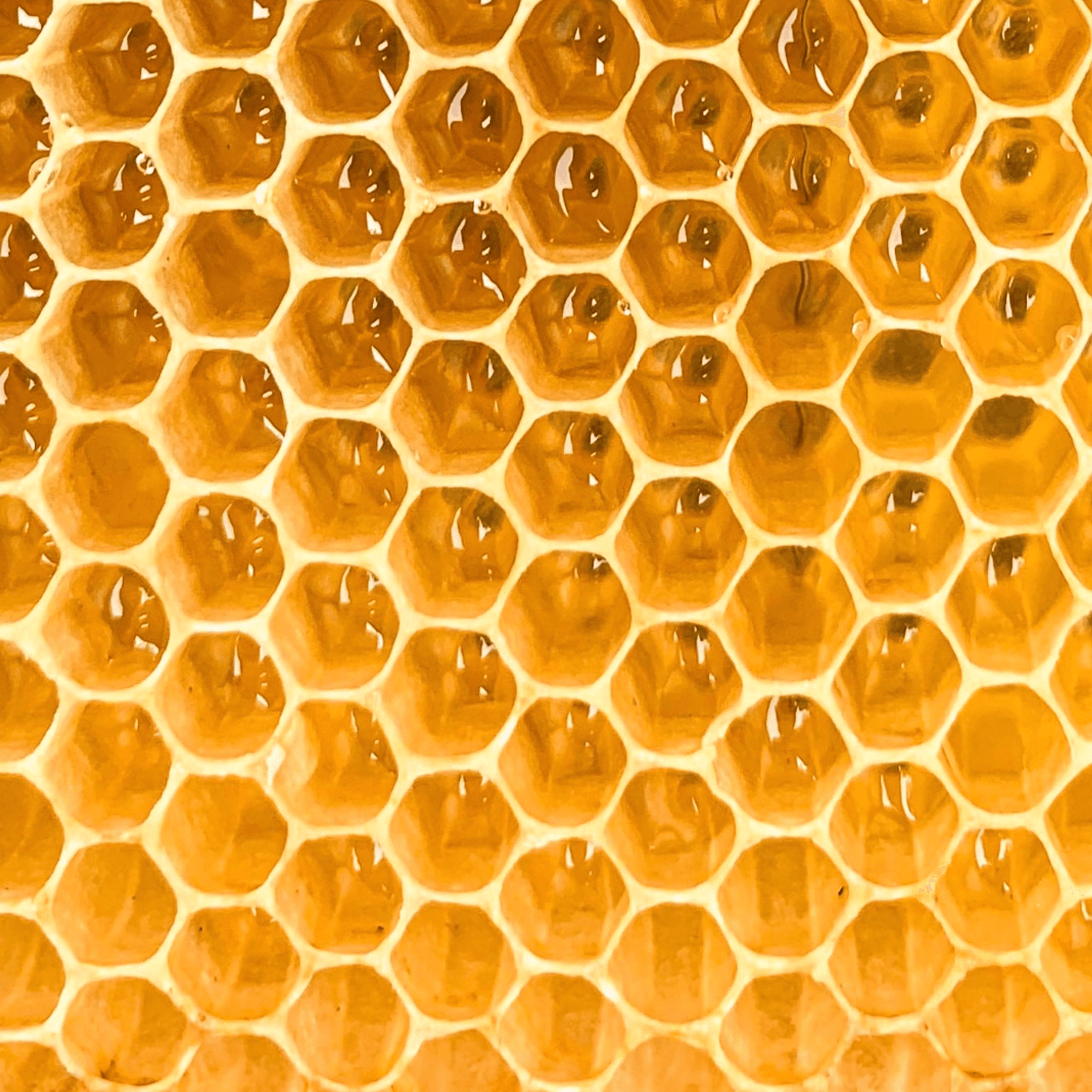 Thumbnail for "The Hidden Geometry of Everything". Thumbnail for "The Hidden Geometry of Everything".