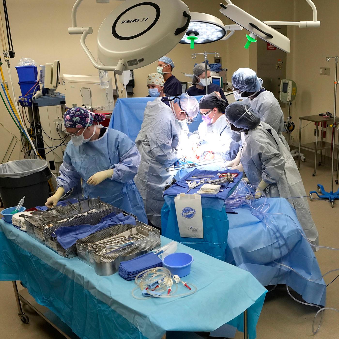 Thumbnail for "When Organ Donation Goes Wrong". Thumbnail for "When Organ Donation Goes Wrong".