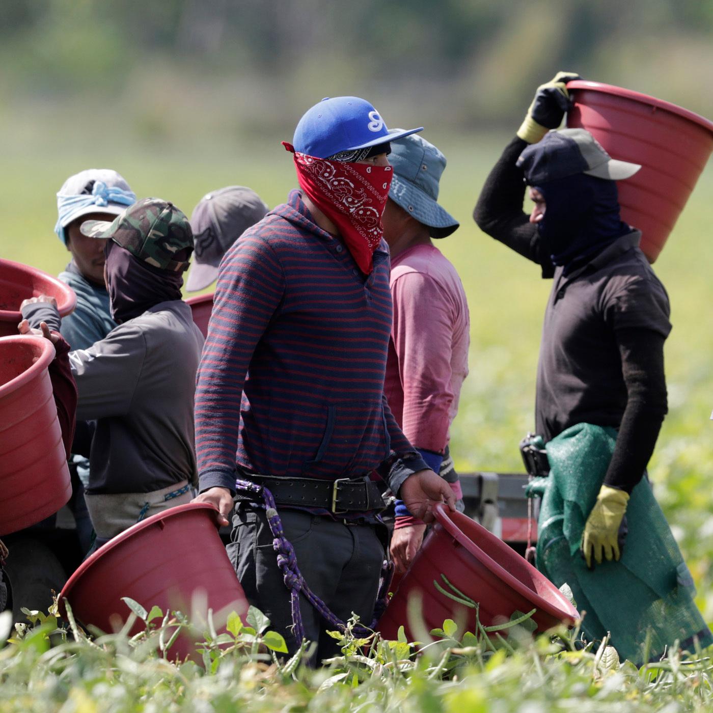Thumbnail for "Protecting the People Who Grow Our Food". Thumbnail for "Protecting the People Who Grow Our Food".