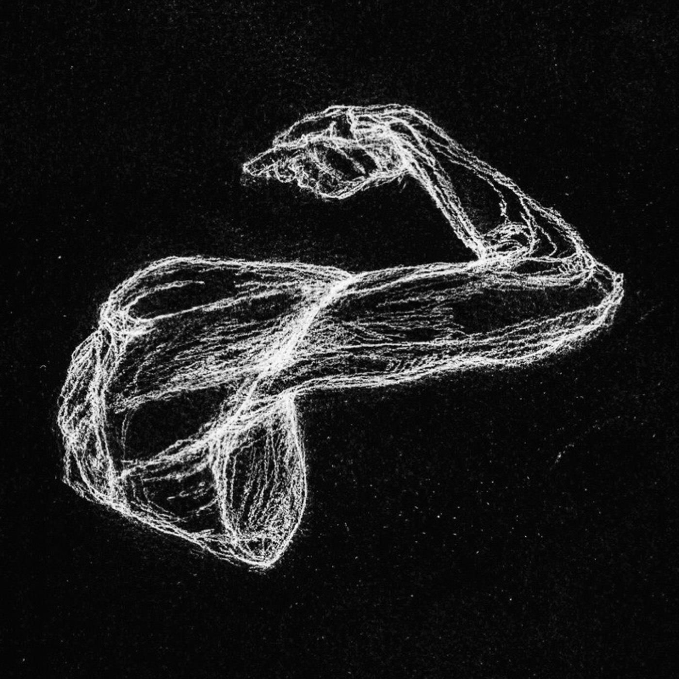 Thumbnail for "The Science and Beauty of Muscles". Thumbnail for "The Science and Beauty of Muscles".