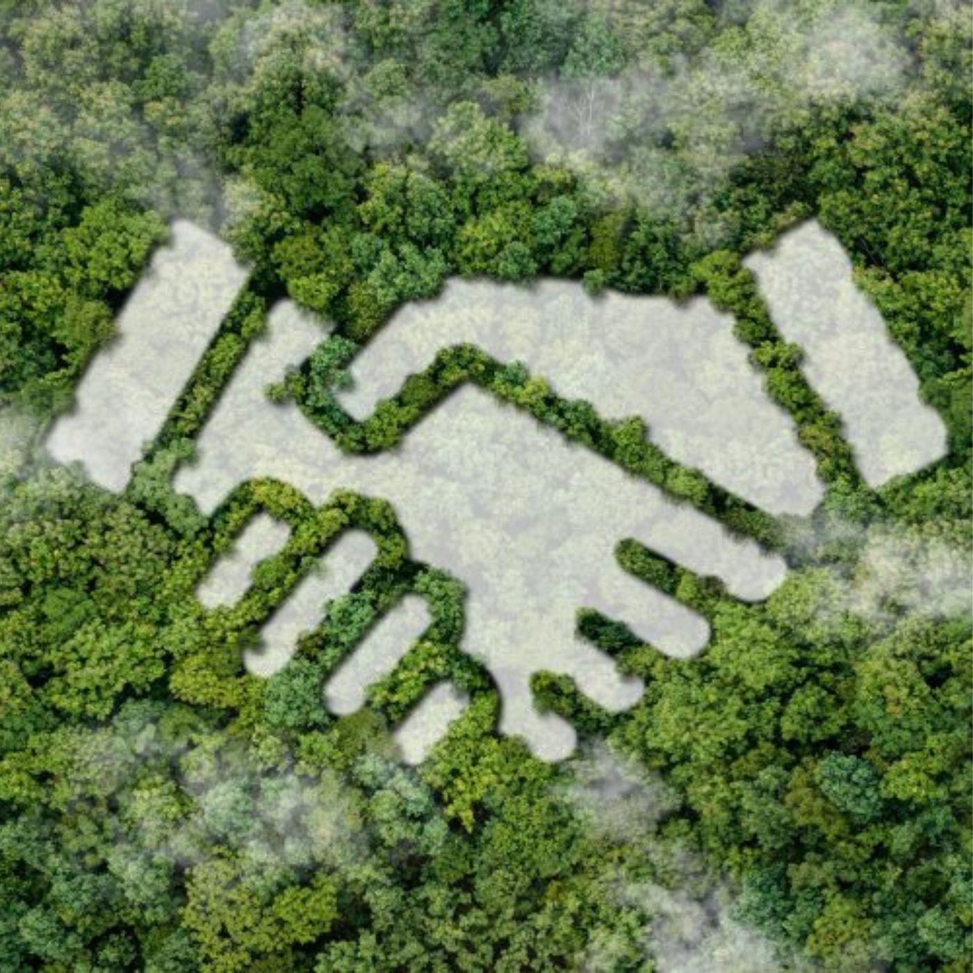 Thumbnail for "The promise of carbon-capture technology". Thumbnail for "The promise of carbon-capture technology".