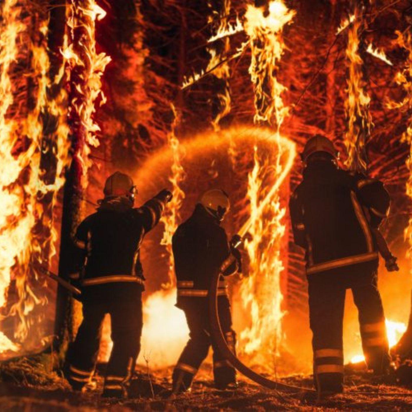 Thumbnail for "What it’s like to fight a wildfire". Thumbnail for "What it’s like to fight a wildfire".