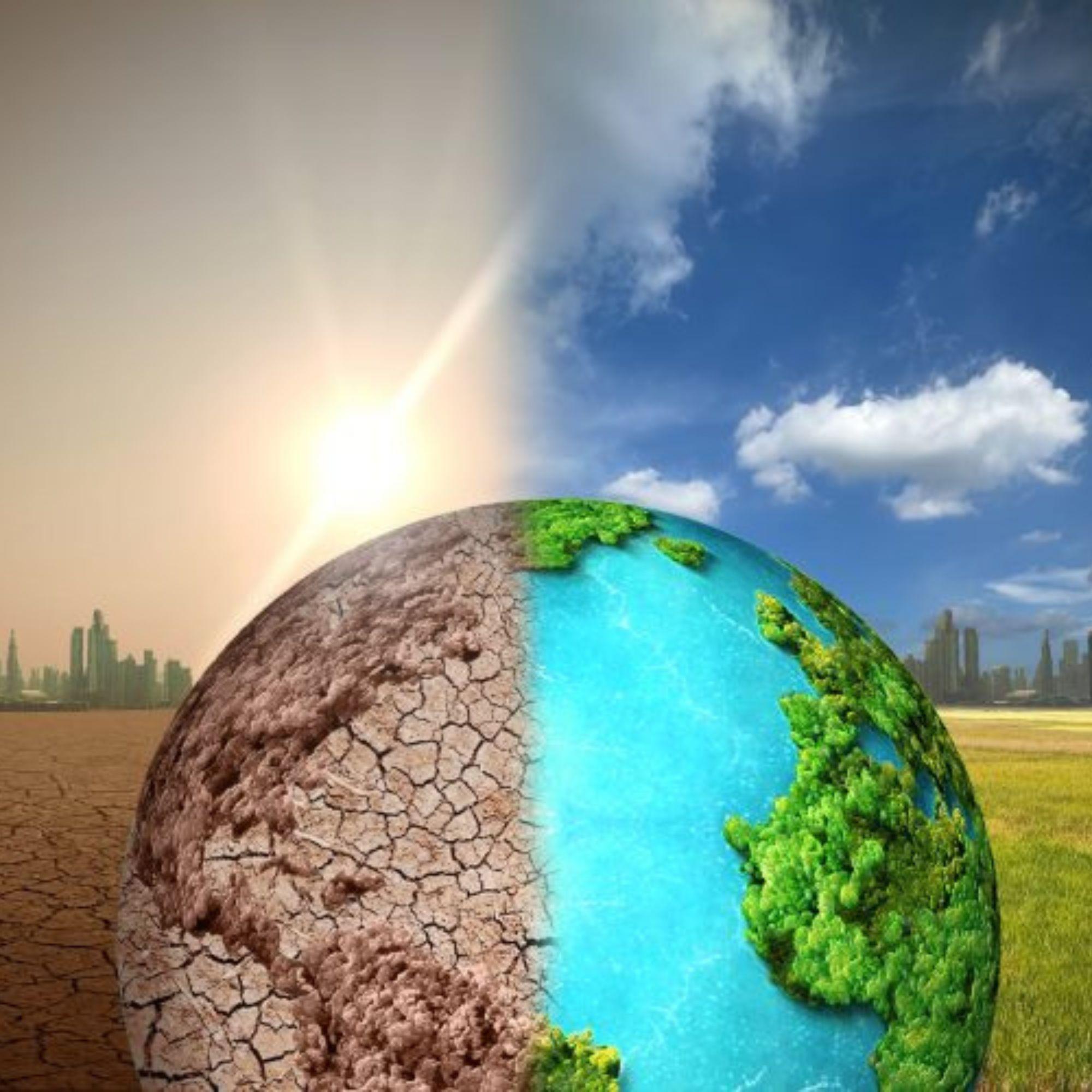 Thumbnail for "The pathogens thriving because of climate change". Thumbnail for "The pathogens thriving because of climate change".