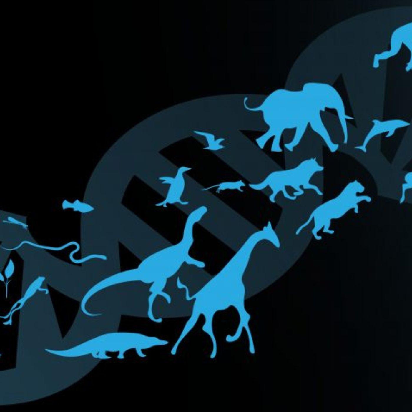 Thumbnail for "Richard Dawkins on reading history through genes". Thumbnail for "Richard Dawkins on reading history through genes".