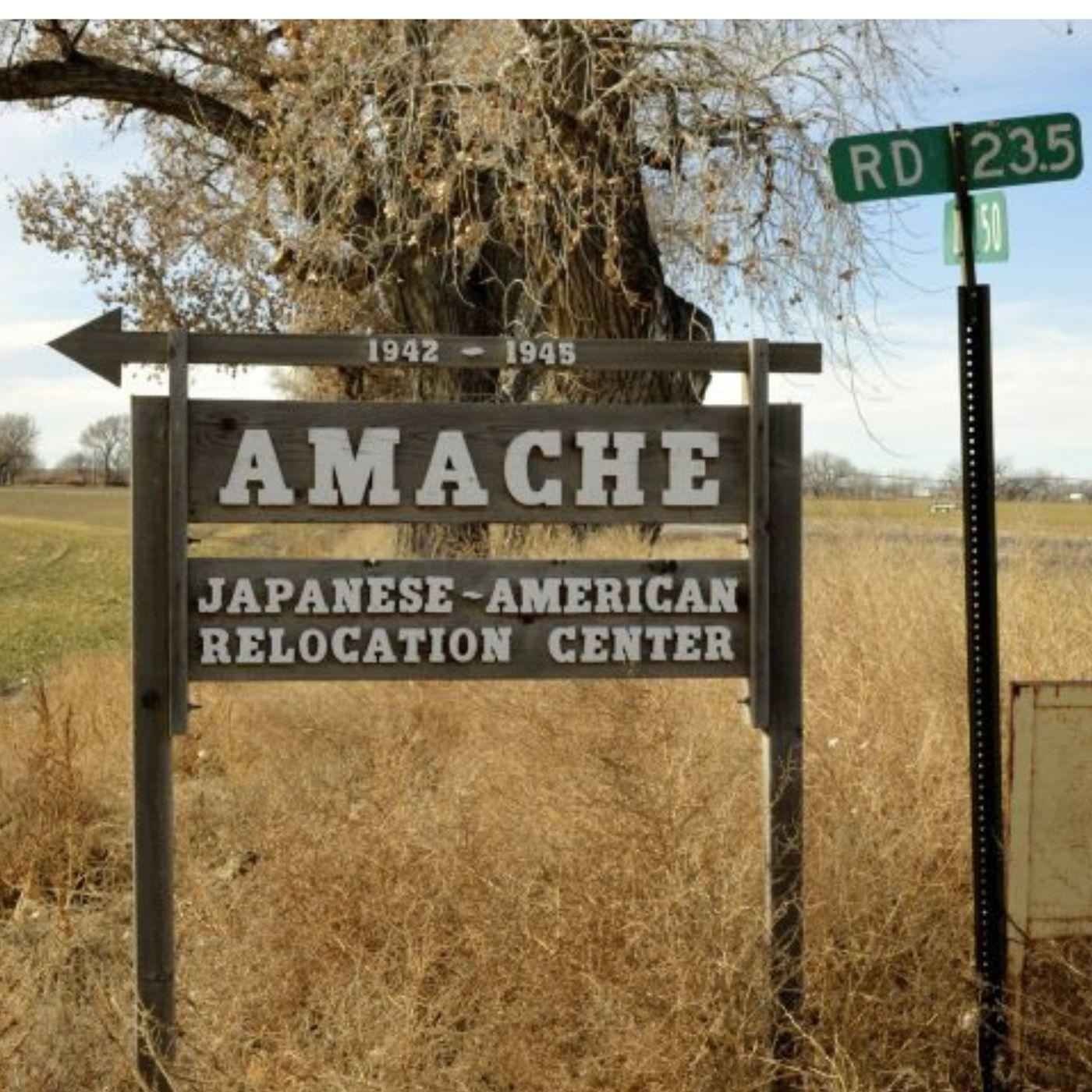 Thumbnail for "The wartime justification of deportations". Thumbnail for "The wartime justification of deportations".