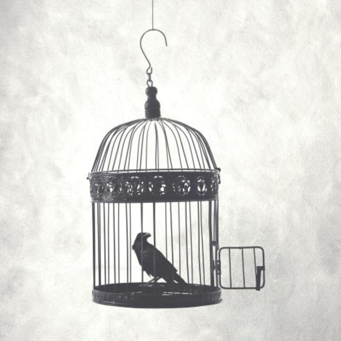 Thumbnail for "Free will does not exist". Thumbnail for "Free will does not exist".