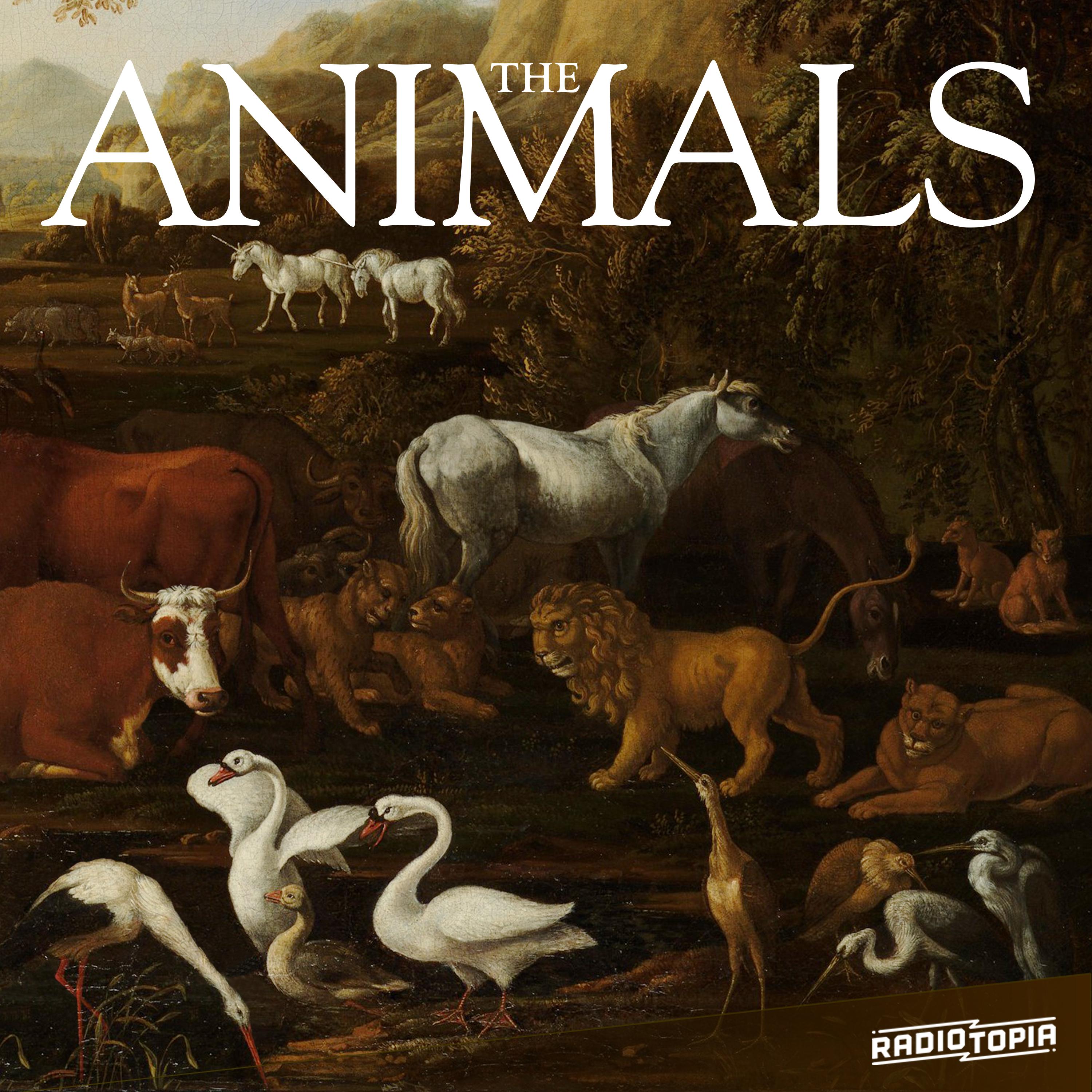 Thumbnail for "Everything is Alive Presents: The Animals". Thumbnail for "Everything is Alive Presents: The Animals".