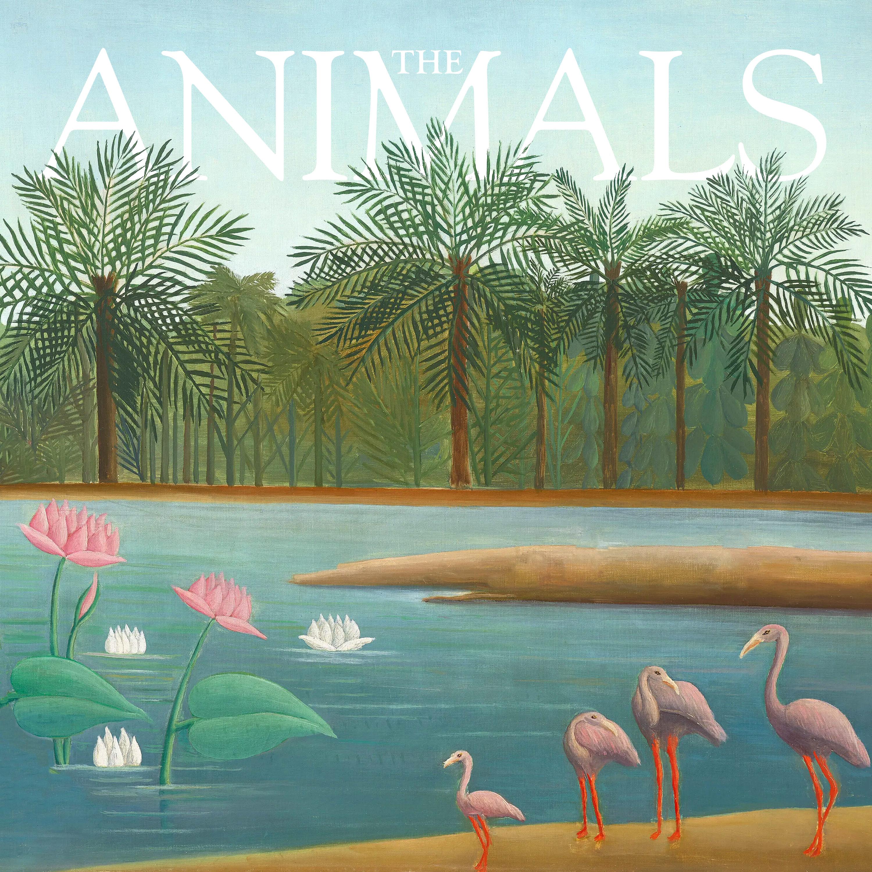 Thumbnail for "The Animals: Harry, Flamingo". Thumbnail for "The Animals: Harry, Flamingo".