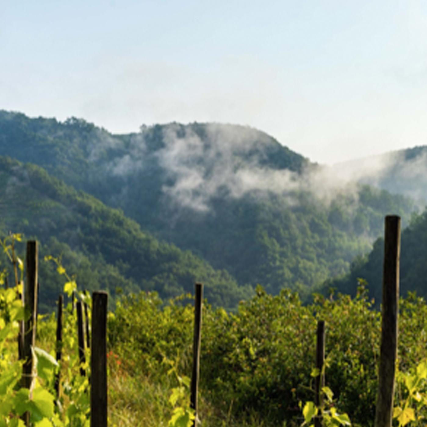 Thumbnail for "8- 45th Parallel". Thumbnail for "8- 45th Parallel".