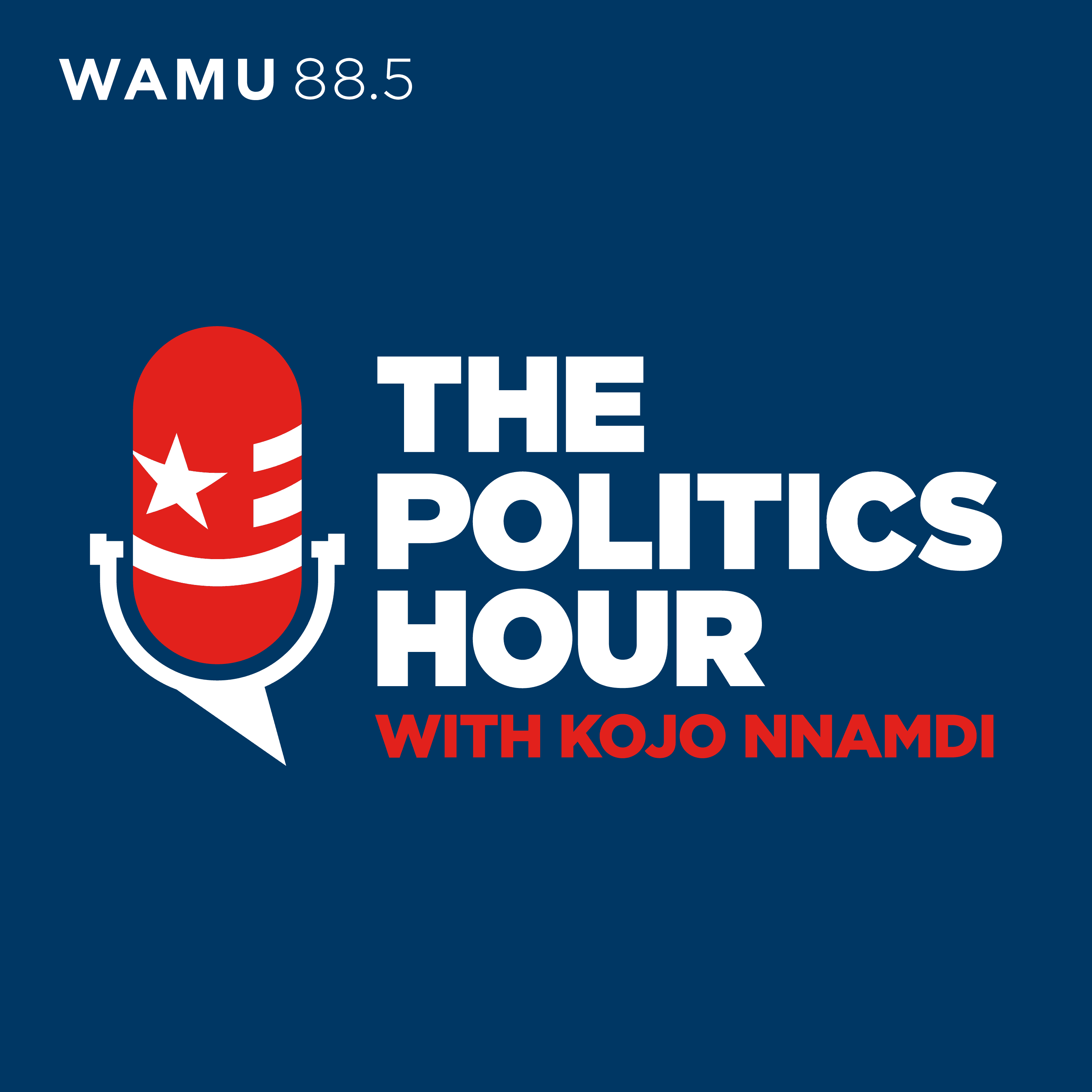 Logo for The Politics Hour with Kojo Nnamdi